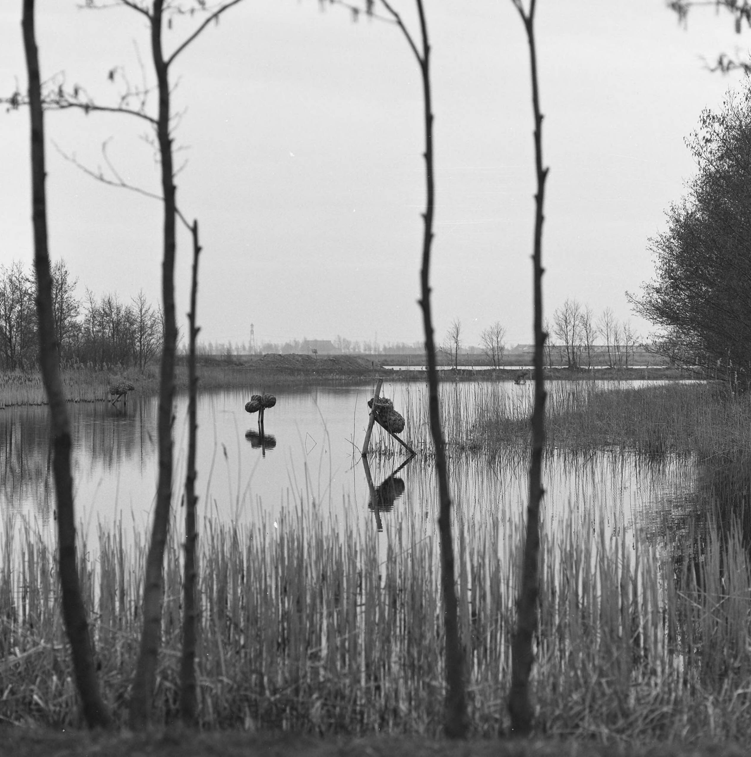Fotocollectie Nederlandse Heidemaatschappij — Recreatiecomplex "de kleine wielen" Groene Ster gem. Leeuwarden — Foto: Fotograaf Onbekend / Heidemij. Licentie: Set B: Rechtenvrij / Publiek Domein. Bron: Nationaal Archief. http://hdl.handle.net/10648/ae834670-d0b4-102d-bcf8-003048976d84