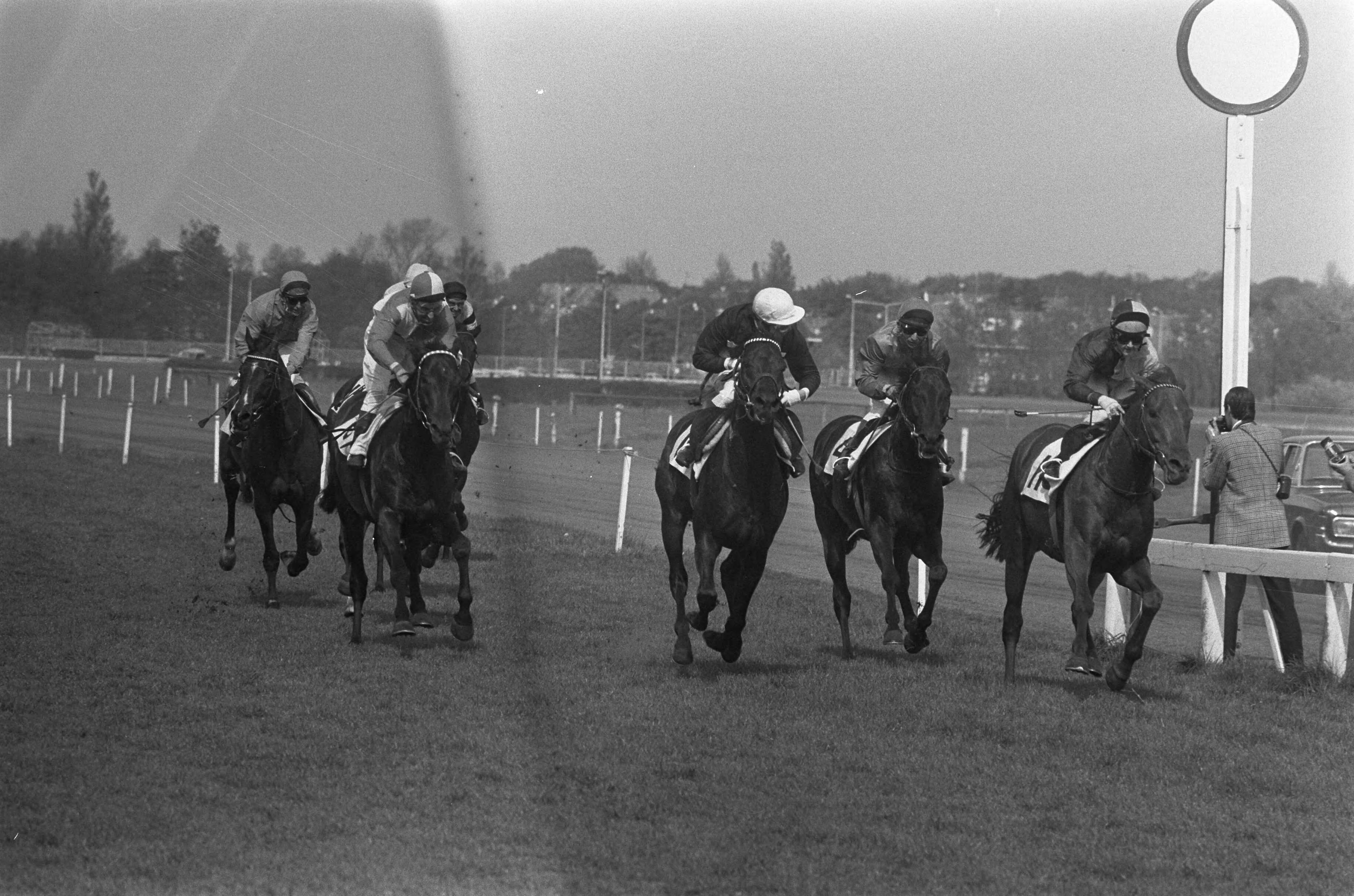 Fotocollectie Anefo — Duindigt, Grote Prijs van Den Haag , finish, rechts gaat Golden Peter met jockey Leonord als eerste over de finish — Foto: Verhoeff, Bert / Anefo. Licentie: Set B: Rechtenvrij / Publiek Domein. Bron: Nationaal Archief. http://hdl.handle.net/10648/ac2ccef0-d0b4-102d-bcf8-003048976d84