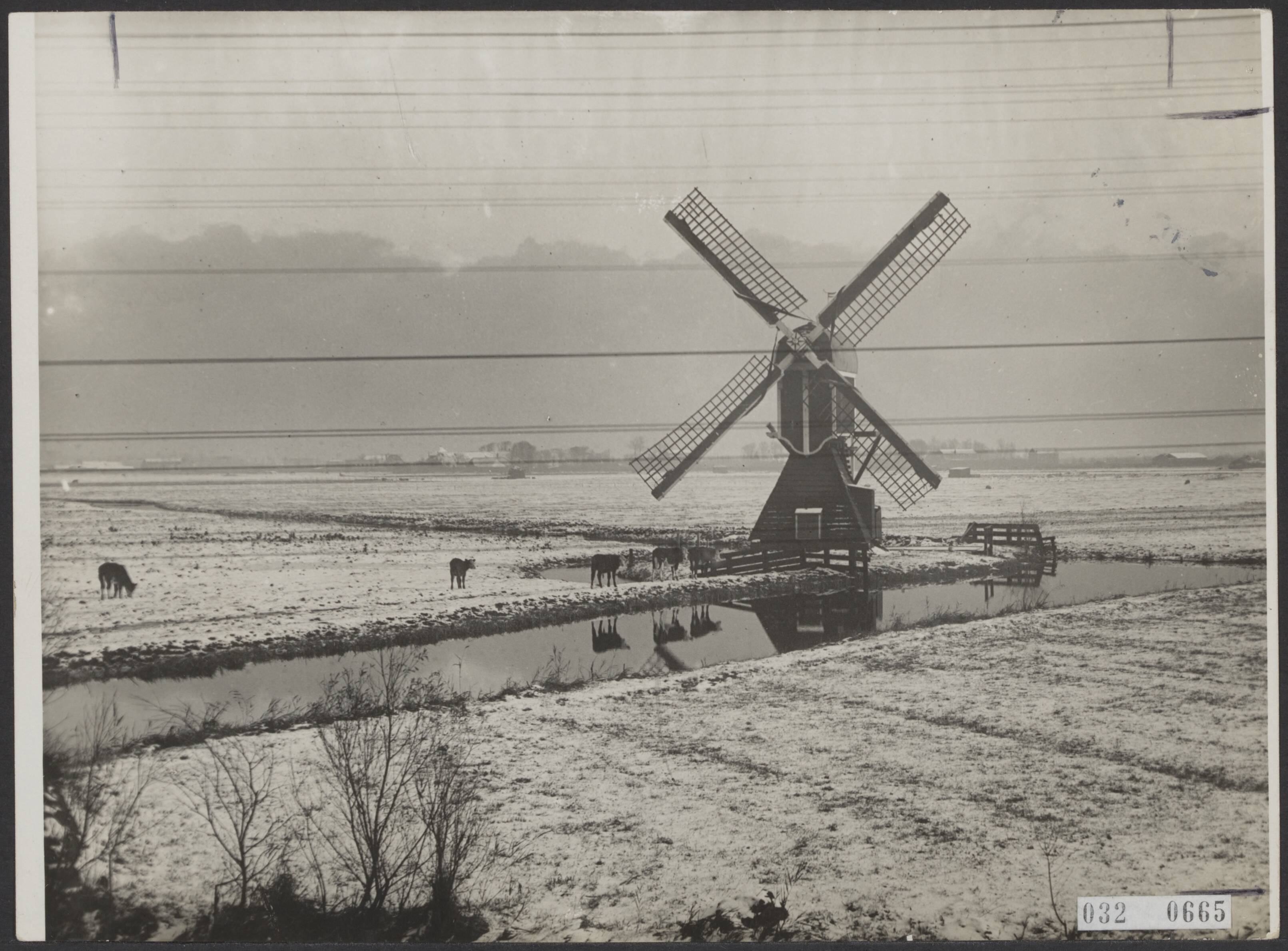 Fotocollectie Elsevier Binnenland — Molen tussen Haarlem en Leiden [omgeving Hillegom?] — Foto: N.V. Vereenigde Fotobureaux. Licentie: Set B: Rechtenvrij / Publiek Domein. Bron: Nationaal Archief. http://hdl.handle.net/10648/ade47982-d0b4-102d-bcf8-003048976d84