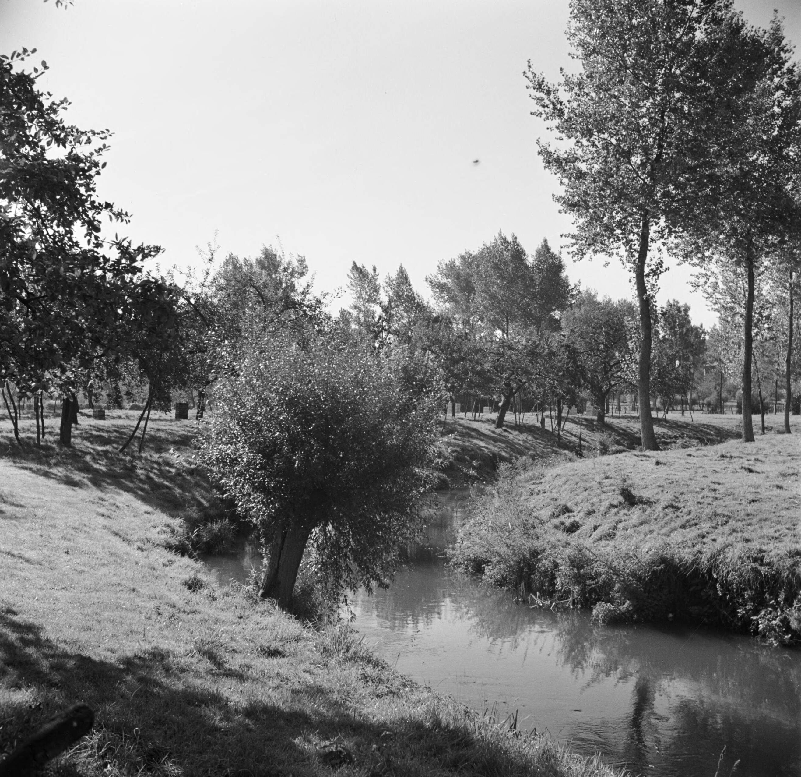 Zuid-Limburg — Rivier de Geul bij Schin op Geul — Foto: Poll, Willem van de. Licentie: Set B: Rechtenvrij / Publiek Domein. Bron: Nationaal Archief. http://hdl.handle.net/10648/aea61768-d0b4-102d-bcf8-003048976d84