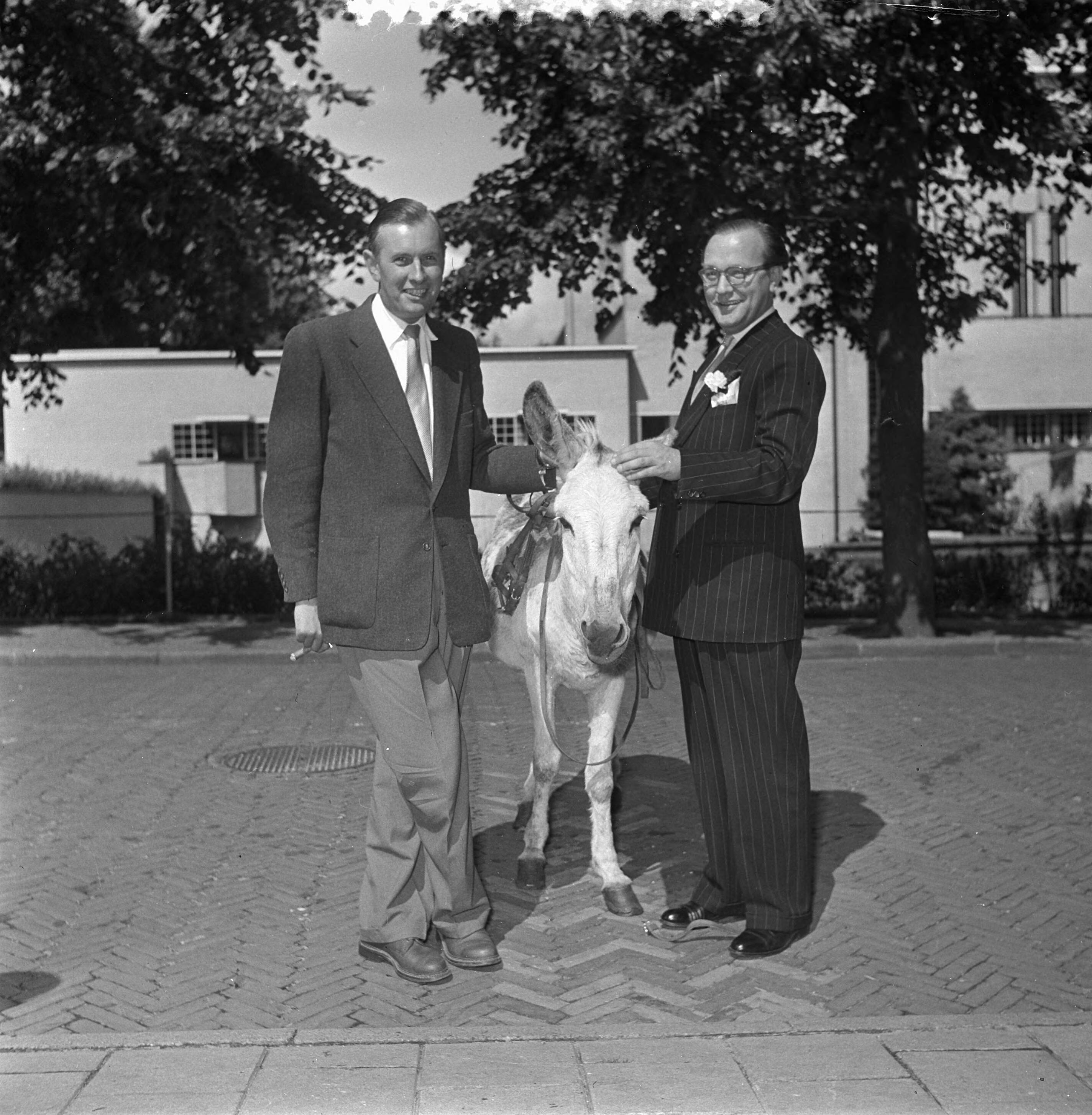 Fotocollectie Anefo — Ger de Roos (links) en Carel Briels poseren met een ezel in Hilversum — Foto: Noske, J.D. / Anefo. Licentie: Set B: Rechtenvrij / Publiek Domein. Bron: Nationaal Archief. http://hdl.handle.net/10648/a911fb96-d0b4-102d-bcf8-003048976d84