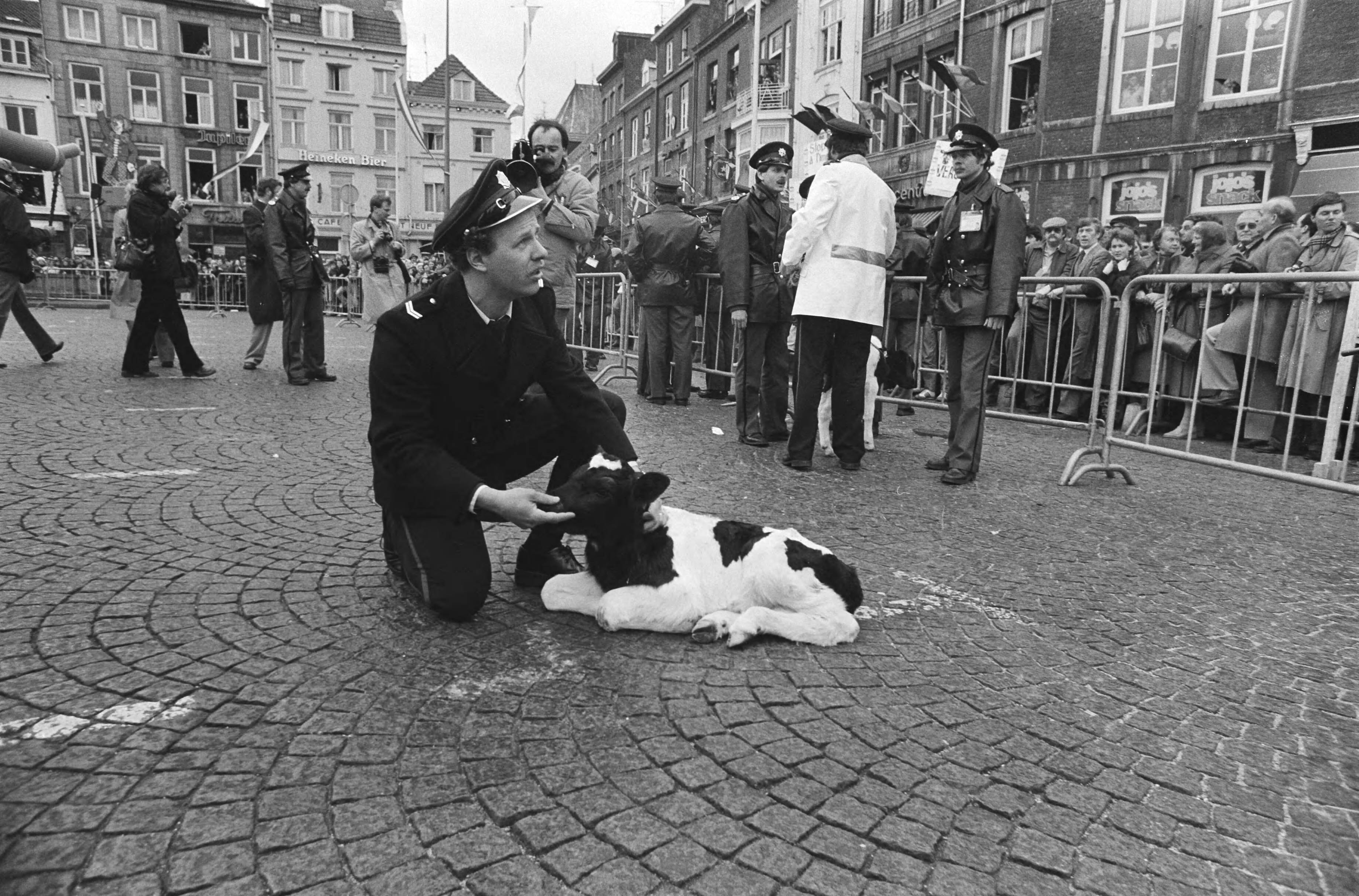 Fotocollectie Anefo — Europese Raad in Maastricht, agenten met een kalf dat over de afzetting is gegooid — Foto: Croes, Rob C. / Anefo. Licentie: Set B: Rechtenvrij / Publiek Domein. Bron: Nationaal Archief. http://hdl.handle.net/10648/acf7c22c-d0b4-102d-bcf8-003048976d84