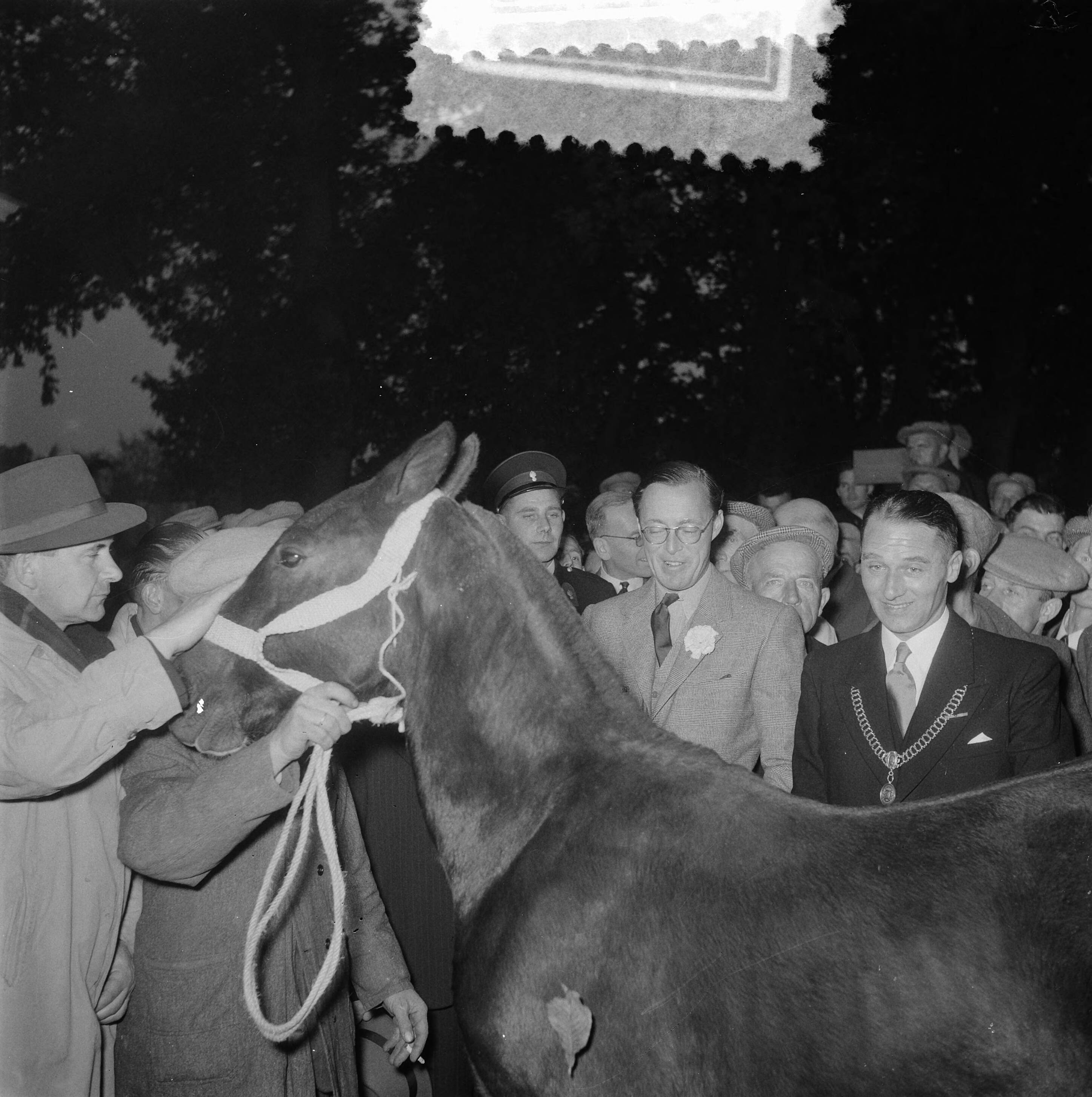 Fotocollectie Anefo — Prins Bernhard bezoekt paardenmarkt te Zuidlaren. Naast de prins burgemeester Jan Hielke Roukema — Foto: Noske, J.D. / Anefo. Licentie: Set B: Rechtenvrij / Publiek Domein. Bron: Nationaal Archief. http://hdl.handle.net/10648/a9163cce-d0b4-102d-bcf8-003048976d84