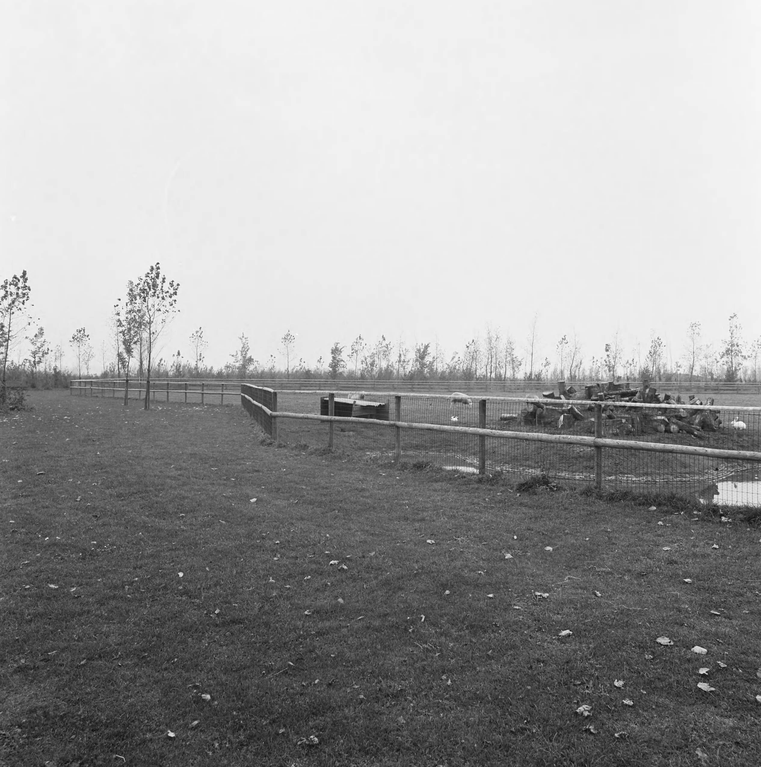 Fotocollectie Nederlandse Heidemaatschappij — Rondhout als afrastering van weide in park te Zoetermeer — Foto: Fotograaf Onbekend / Heidemij. Licentie: Set B: Rechtenvrij / Publiek Domein. Bron: Nationaal Archief. http://hdl.handle.net/10648/ae8335cc-d0b4-102d-bcf8-003048976d84