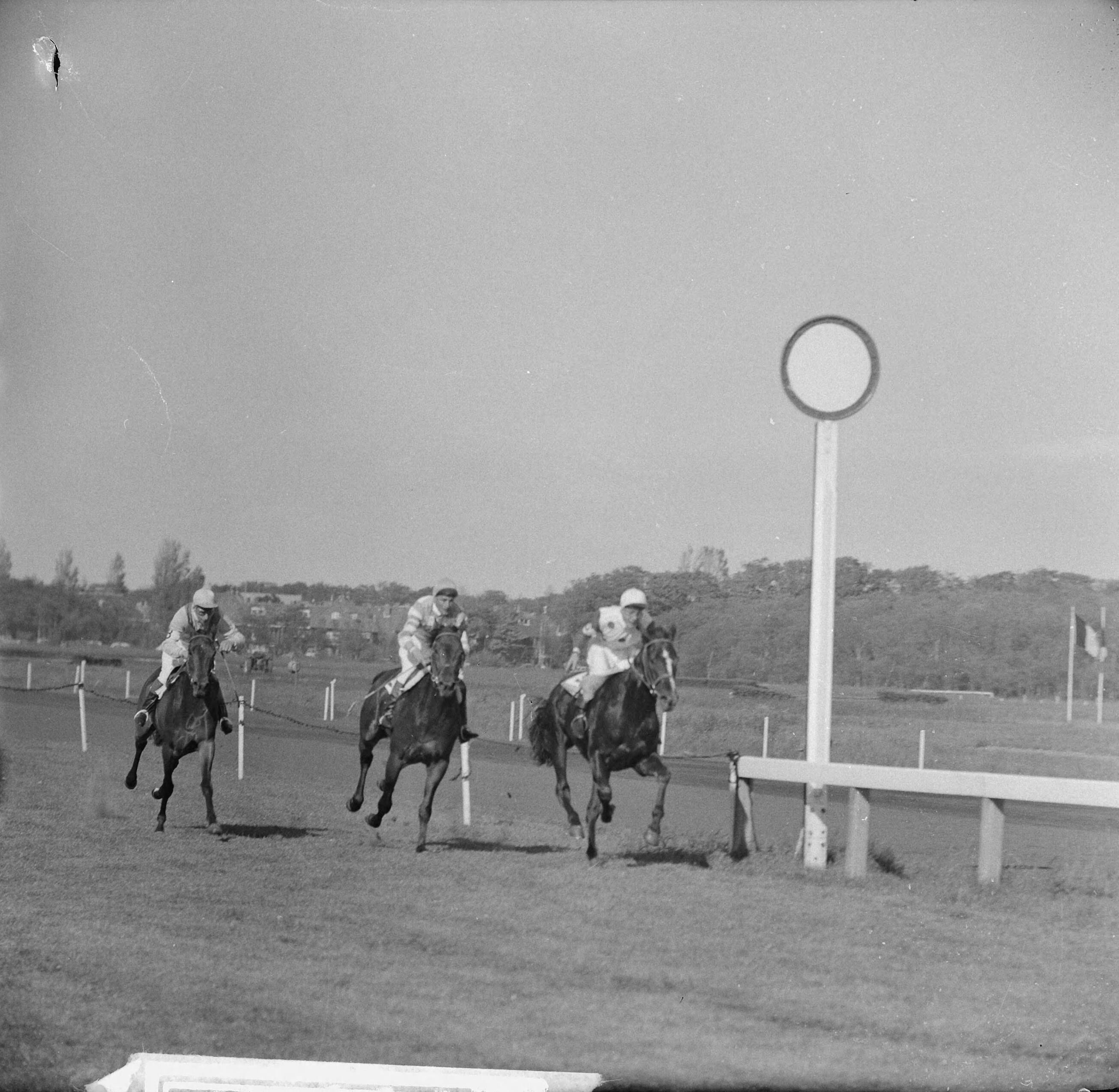 Fotocollectie Anefo — Derby op Duindigt (Flocondor) — Foto: Nijs, Jac. de / Anefo. Licentie: Set B: Rechtenvrij / Publiek Domein. Bron: Nationaal Archief. http://hdl.handle.net/10648/aa0b1168-d0b4-102d-bcf8-003048976d84