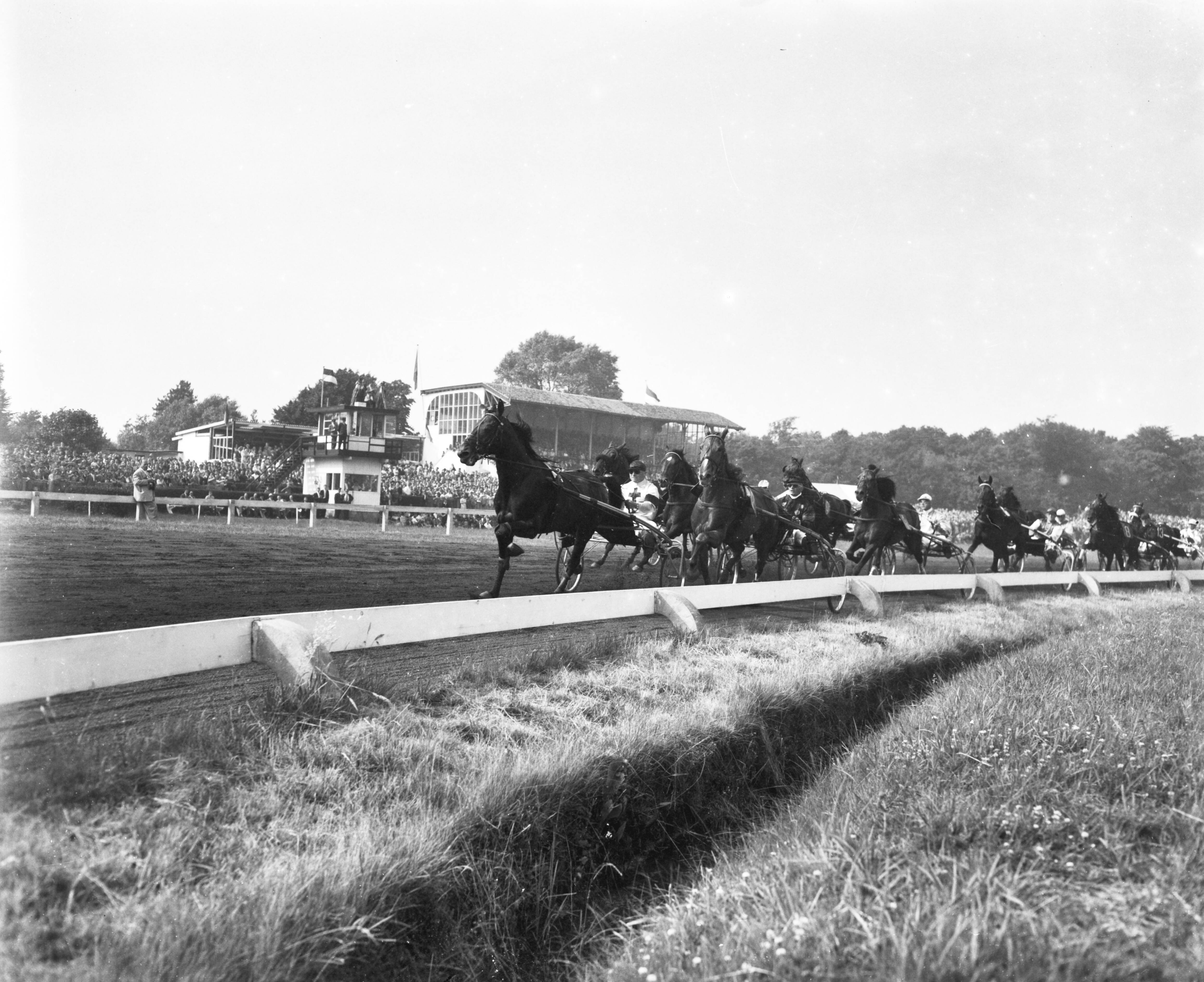 Fotocollectie Anefo — Draverijen op Duindigt — Foto: Behrens, Herbert F. / Anefo. Licentie: Set B: Rechtenvrij / Publiek Domein. Bron: Nationaal Archief. http://hdl.handle.net/10648/a97f6a82-d0b4-102d-bcf8-003048976d84