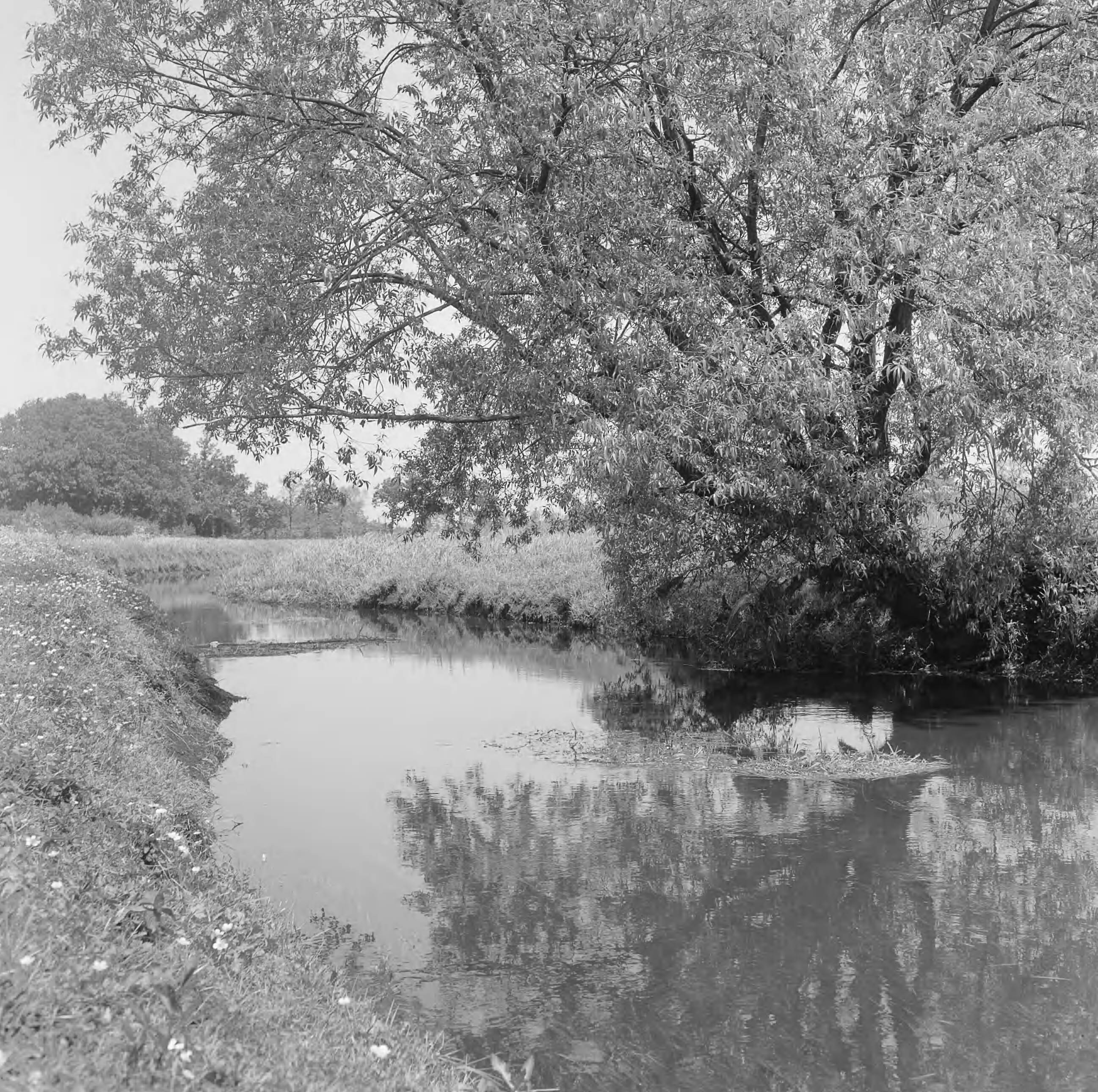 Fotocollectie Nederlandse Heidemaatschappij — Drenthe|Roden|normalisatie van beken |graven en dempen van sloten — Foto: Fotograaf Onbekend / Heidemij. Licentie: Set B: Rechtenvrij / Publiek Domein. Bron: Nationaal Archief. http://hdl.handle.net/10648/ae4d7f90-d0b4-102d-bcf8-003048976d84