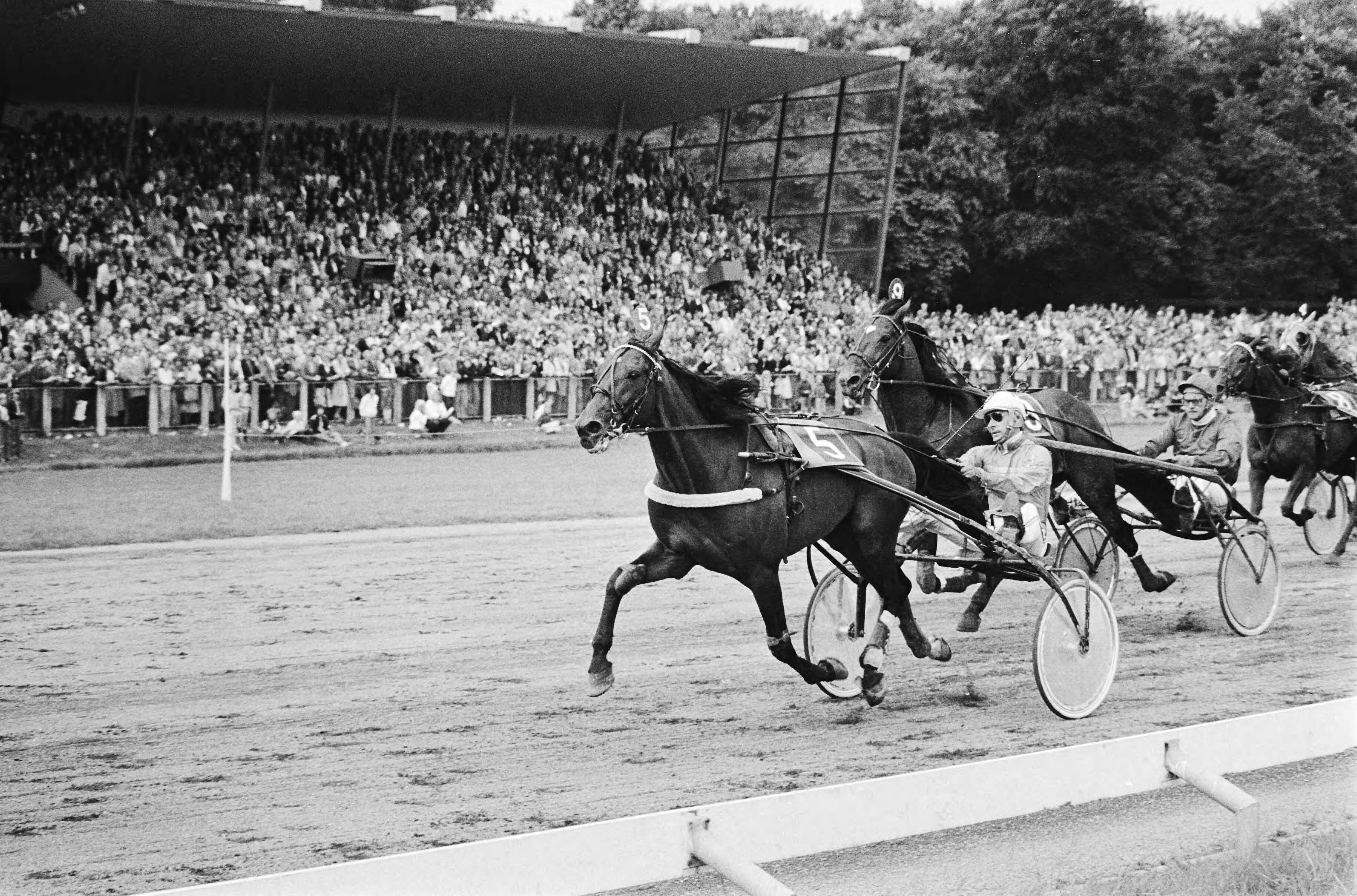 Grote Prijs der Lage Landen op Duindigt te Wassenaar — Winnaar de Zweed Berndt Lindstedt met Pershing (5) en tweede de Fransman Leopold Verroken met Eléazar (9) — Foto: Suyk, Koen / Anefo. Licentie: Set B: Rechtenvrij / Publiek Domein. Bron: Nationaal Archief. http://hdl.handle.net/10648/accc9fd4-d0b4-102d-bcf8-003048976d84