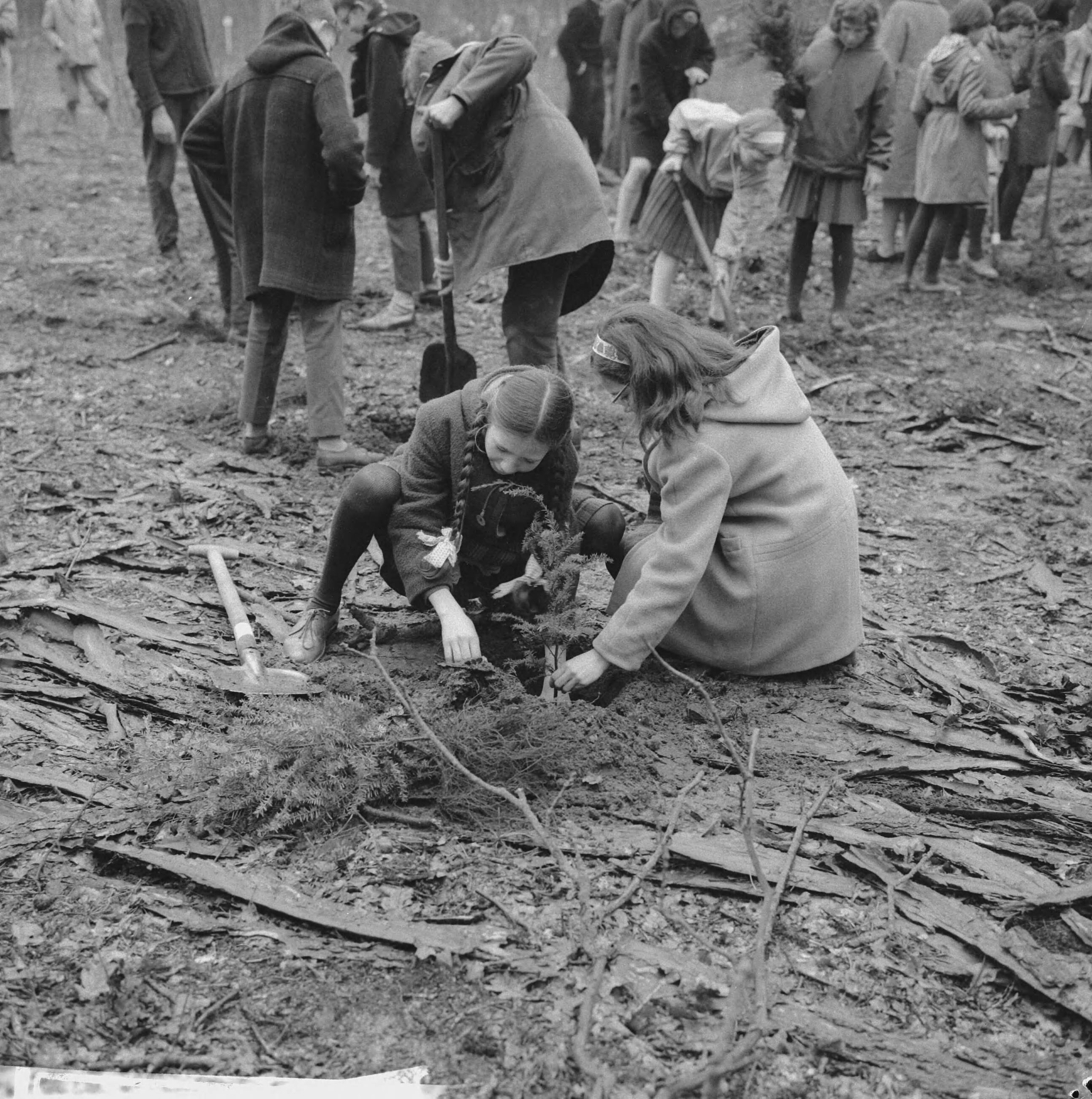Fotocollectie Anefo — Boomplantdag voor 600 kinderen bij Bilthoven — Foto: Koch, Eric / Anefo. Licentie: Set B: Rechtenvrij / Publiek Domein. Bron: Nationaal Archief. http://hdl.handle.net/10648/aa009490-d0b4-102d-bcf8-003048976d84