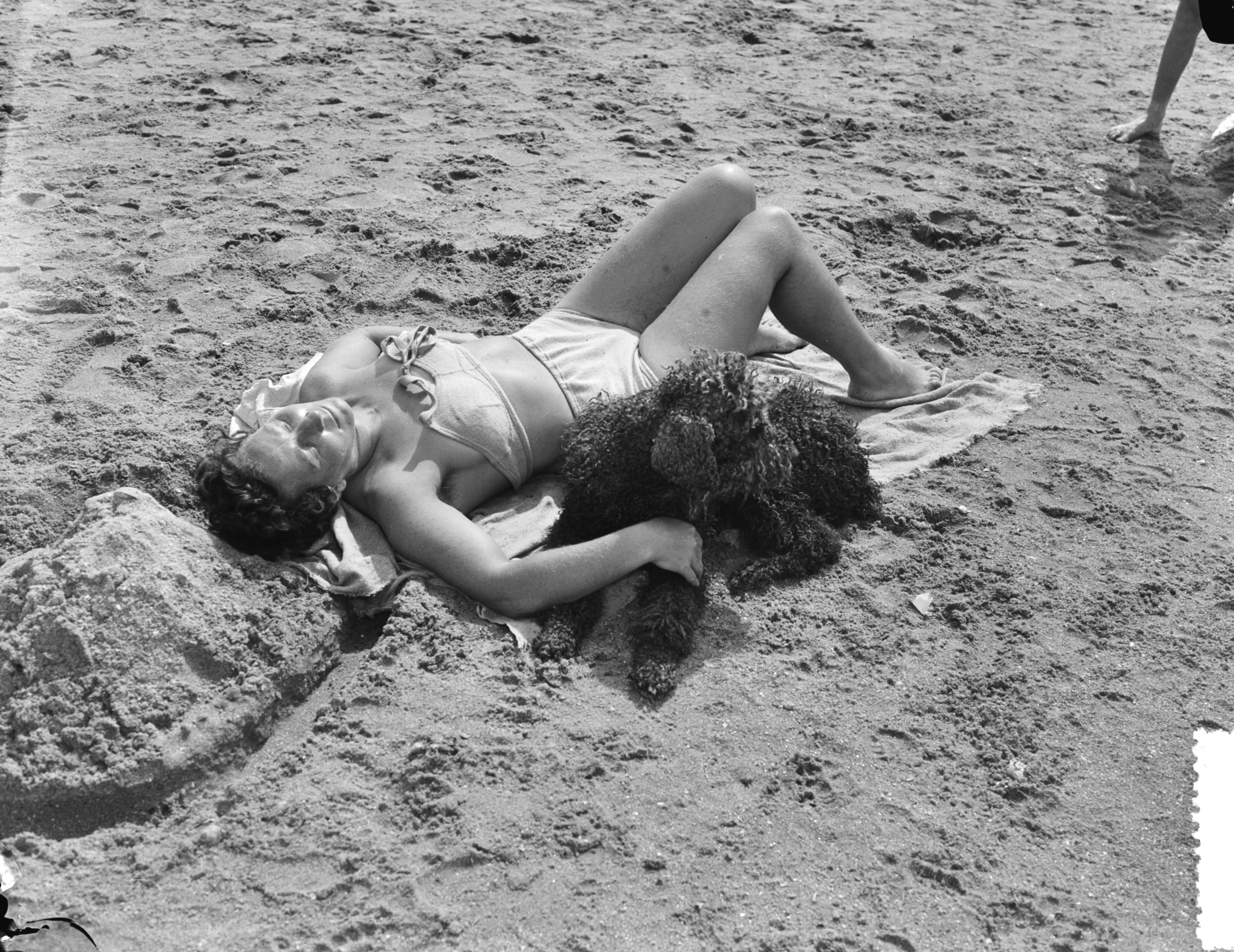 Fotocollectie Anefo — Hete dag aan het strand van Scheveningen. "Schone slaapster" met hond — Foto: Duinen, G.W. van / Anefo. Licentie: Set B: Rechtenvrij / Publiek Domein. Bron: Nationaal Archief. http://hdl.handle.net/10648/a910e602-d0b4-102d-bcf8-003048976d84