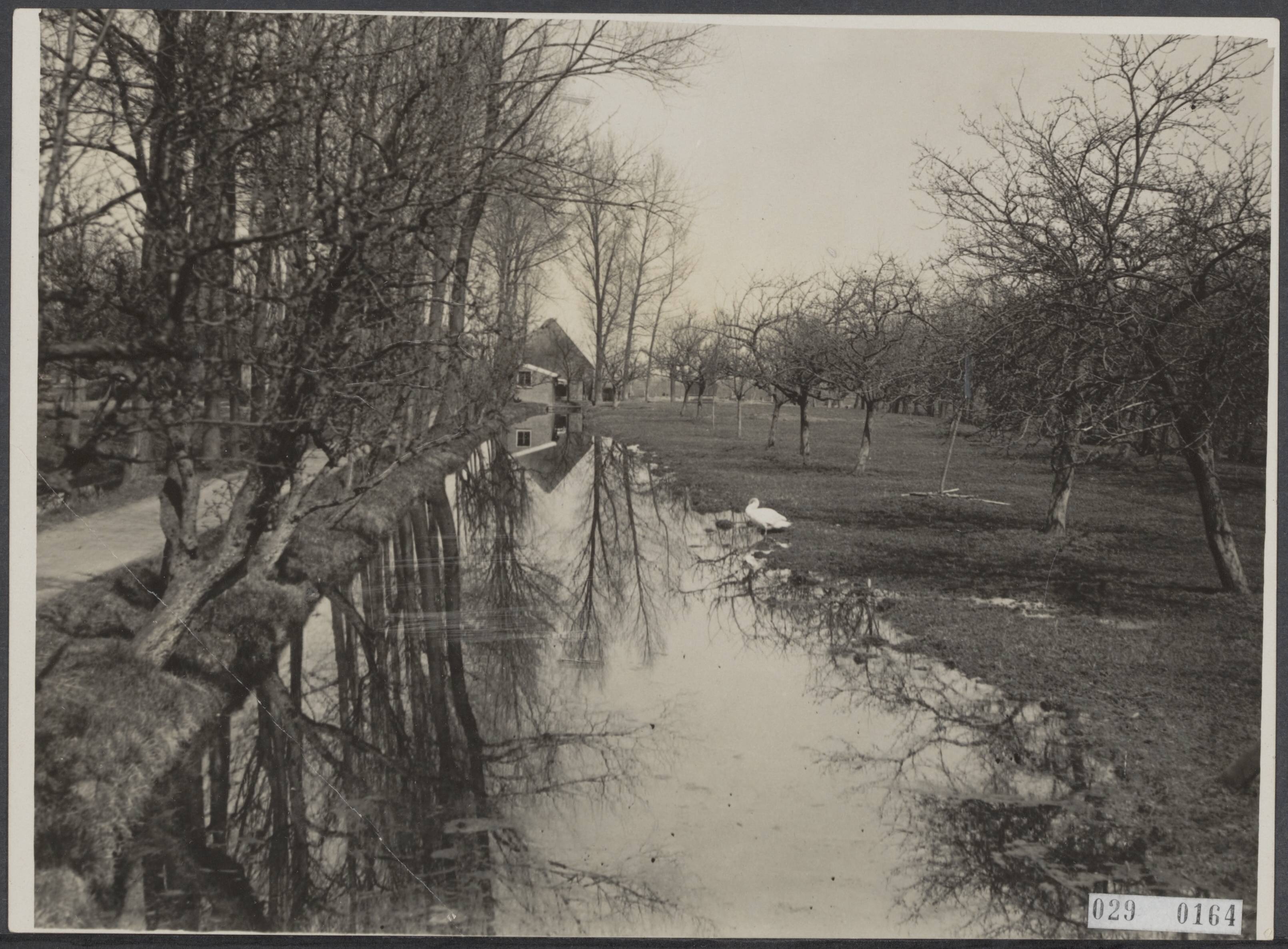 Fotocollectie Elsevier Binnenland — Vaart en boomgaard in de buurt van Bodegraven — Foto: Gazendam, A.J. / Fotobureau Gazendam. Licentie: Set B: Rechtenvrij / Publiek Domein. Bron: Nationaal Archief. http://hdl.handle.net/10648/ade11fe4-d0b4-102d-bcf8-003048976d84