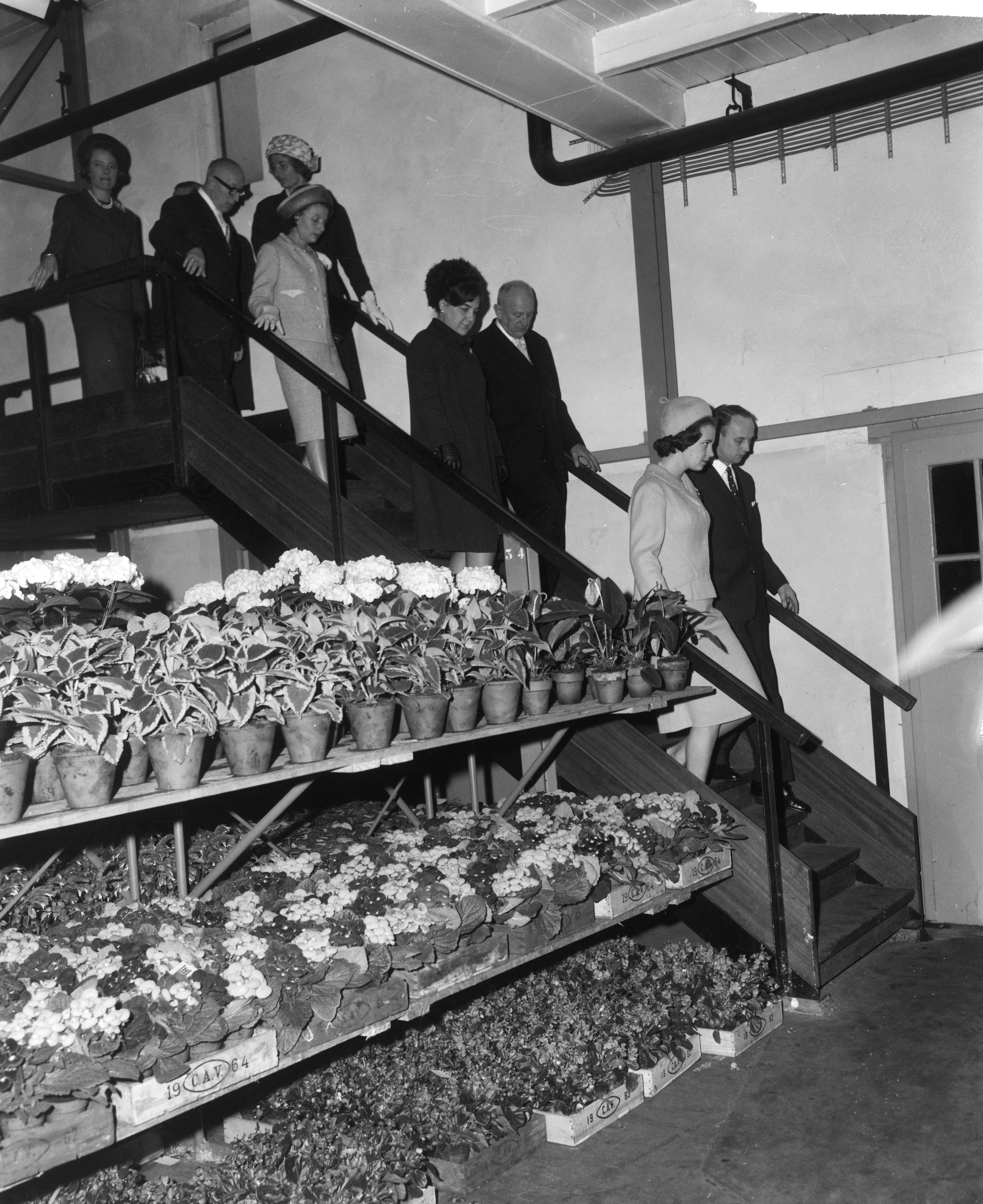 Bezoek van prinses Benedikte van Denemarken aan Nederland (1965) — De Deense prinses Benedikte en prinses Margriet bezochten de bloemenveiling te Aalsmeer, de prinsessen tijdens de rondgang — Foto: Bilsen, Joop van / Anefo. Licentie: Set B: Rechtenvrij / Publiek Domein. Bron: Nationaal Archief. http://hdl.handle.net/10648/aa9e9b18-d0b4-102d-bcf8-003048976d84