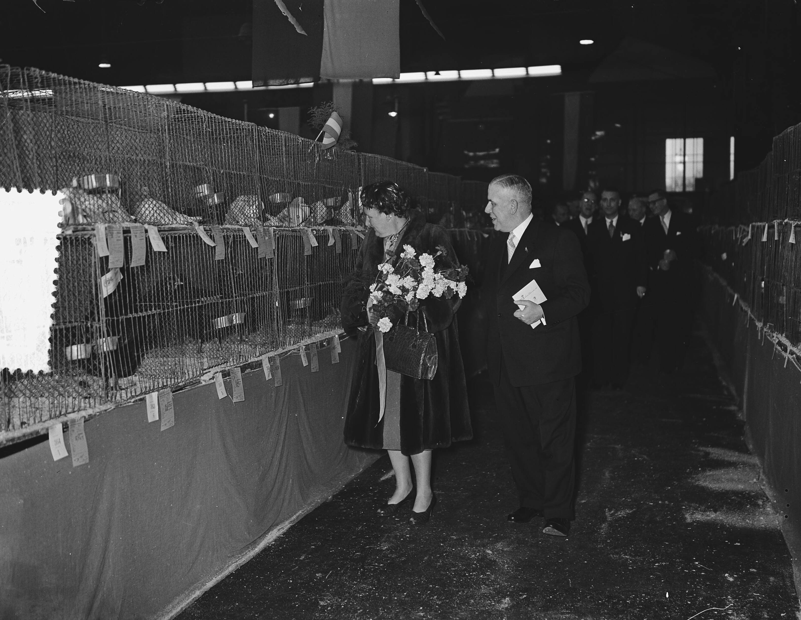 Fotocollectie Anefo — Koningin Juliana bezoekt de 60ste tentoonstelling van "Avicultura" in de Houtrusthallen te Den Haag — Foto: Bilsen, Joop van / Anefo. Licentie: Set B: Rechtenvrij / Publiek Domein. Bron: Nationaal Archief. http://hdl.handle.net/10648/a941d3d4-d0b4-102d-bcf8-003048976d84