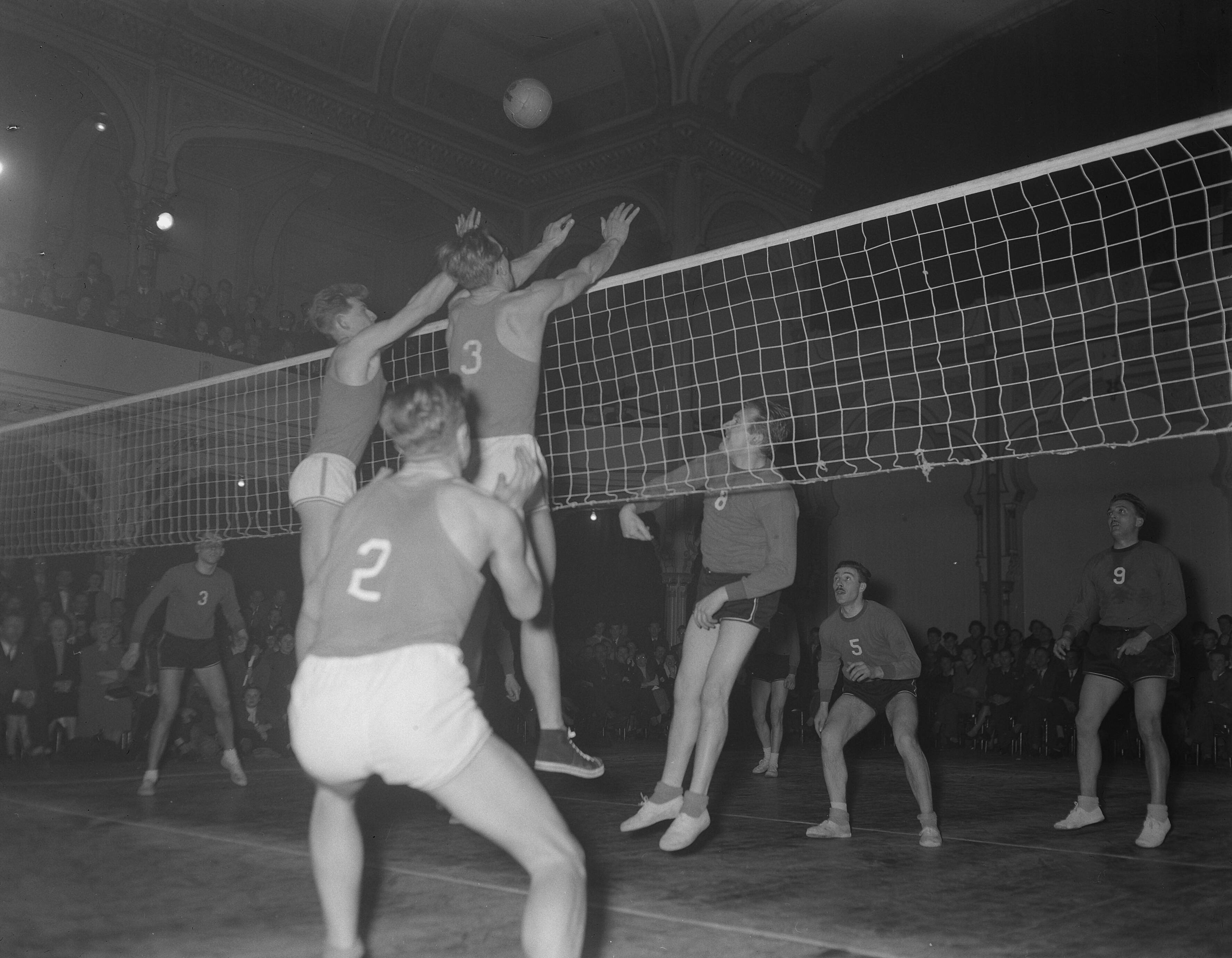Fotocollectie Anefo — Volleybal. Nederland tegen België 3-1 — Foto: Rossem, Wim van / Anefo. Licentie: Set B: Rechtenvrij / Publiek Domein. Bron: Nationaal Archief. http://hdl.handle.net/10648/a943b42e-d0b4-102d-bcf8-003048976d84
