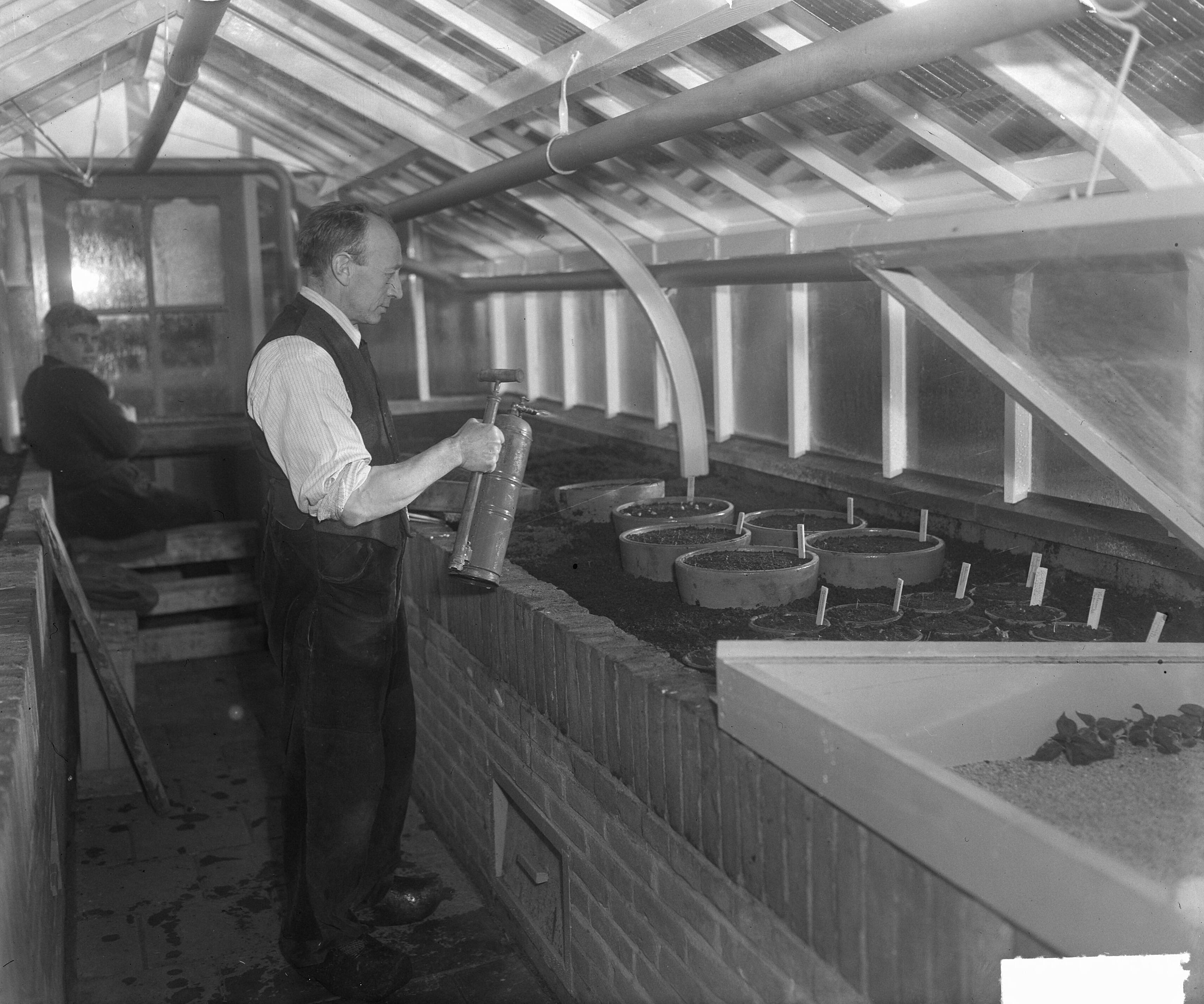 Fotocollectie Anefo — Sawaks te Zaandam, Gerhardstraat, interieur — Foto: Winterbergen, Rolf / Anefo. Licentie: Set B: Rechtenvrij / Publiek Domein. Bron: Nationaal Archief. http://hdl.handle.net/10648/a8d4e698-d0b4-102d-bcf8-003048976d84