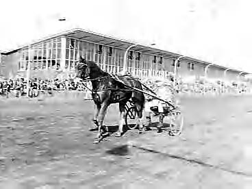Fotocollectie Anefo — Langebaankampioenschappen draverijen voor Nederlandse paarden te Hilversum — Foto: Behrens, Herbert F. / Anefo. Licentie: Set B: Rechtenvrij / Publiek Domein. Bron: Nationaal Archief. http://hdl.handle.net/10648/a98310d8-d0b4-102d-bcf8-003048976d84