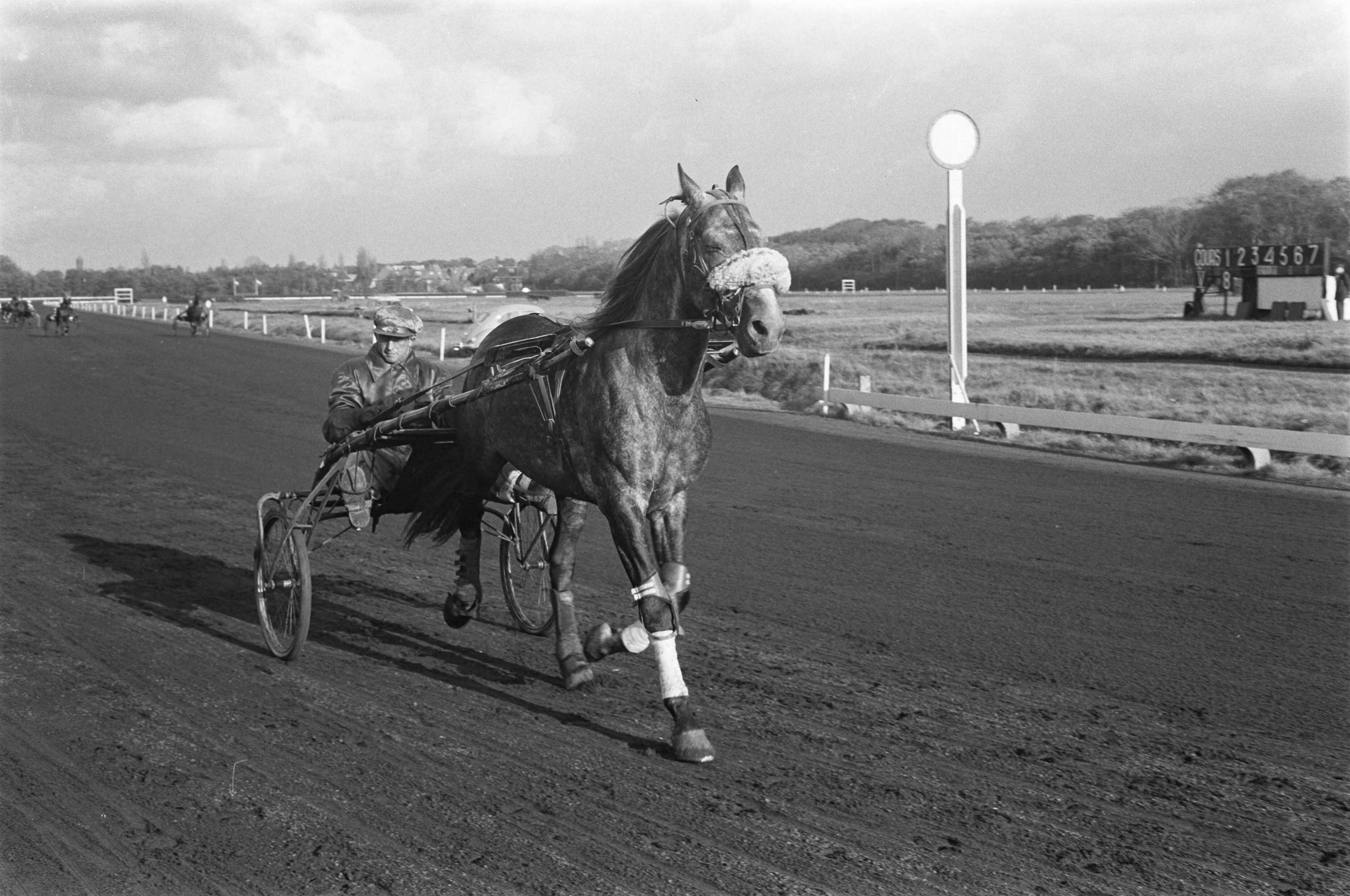 Fotocollectie Anefo — Draverijen op Duindigt, de Nederland-Rusland prijs werd verreden. Winnaar Veterok met pikeur Ivan Popelnoecka — Foto: Pot, Harry / Anefo. Licentie: Set B: Rechtenvrij / Publiek Domein. Bron: Nationaal Archief. http://hdl.handle.net/10648/aa1d8f96-d0b4-102d-bcf8-003048976d84