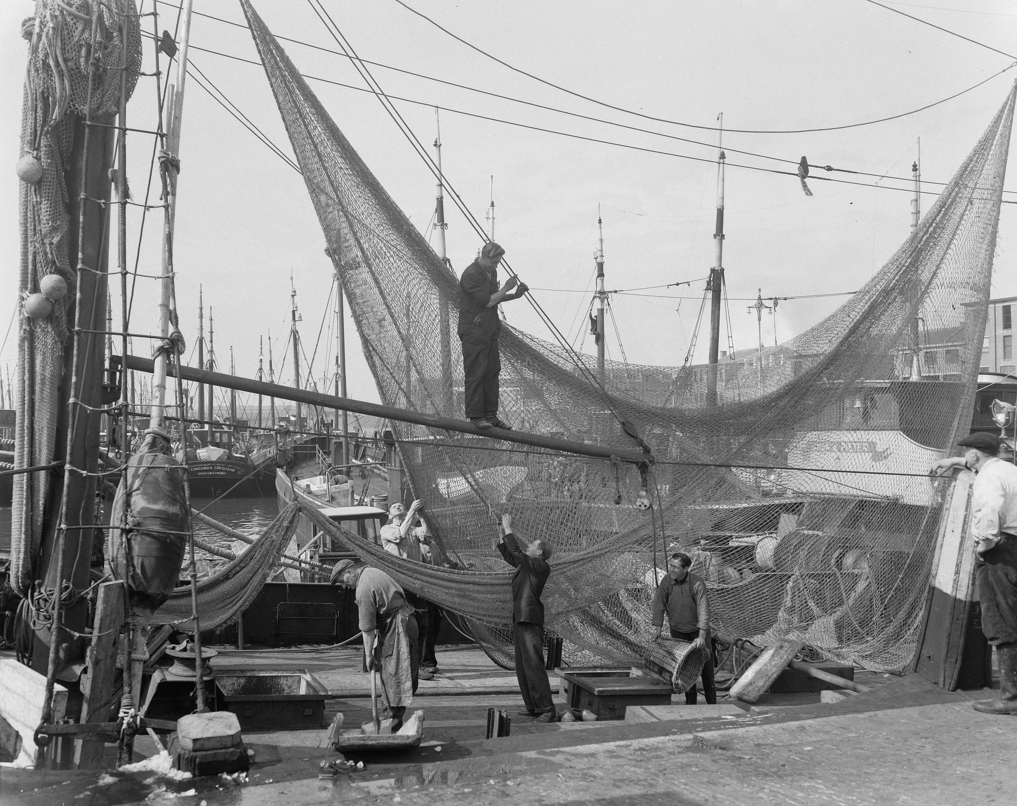 Fotocollectie Anefo — Voorbereidingen Scheveningse haven voor nieuwe haringvangst — Foto: Duinen, G.W. van / Anefo. Licentie: Set B: Rechtenvrij / Publiek Domein. Bron: Nationaal Archief. http://hdl.handle.net/10648/a90b4d50-d0b4-102d-bcf8-003048976d84