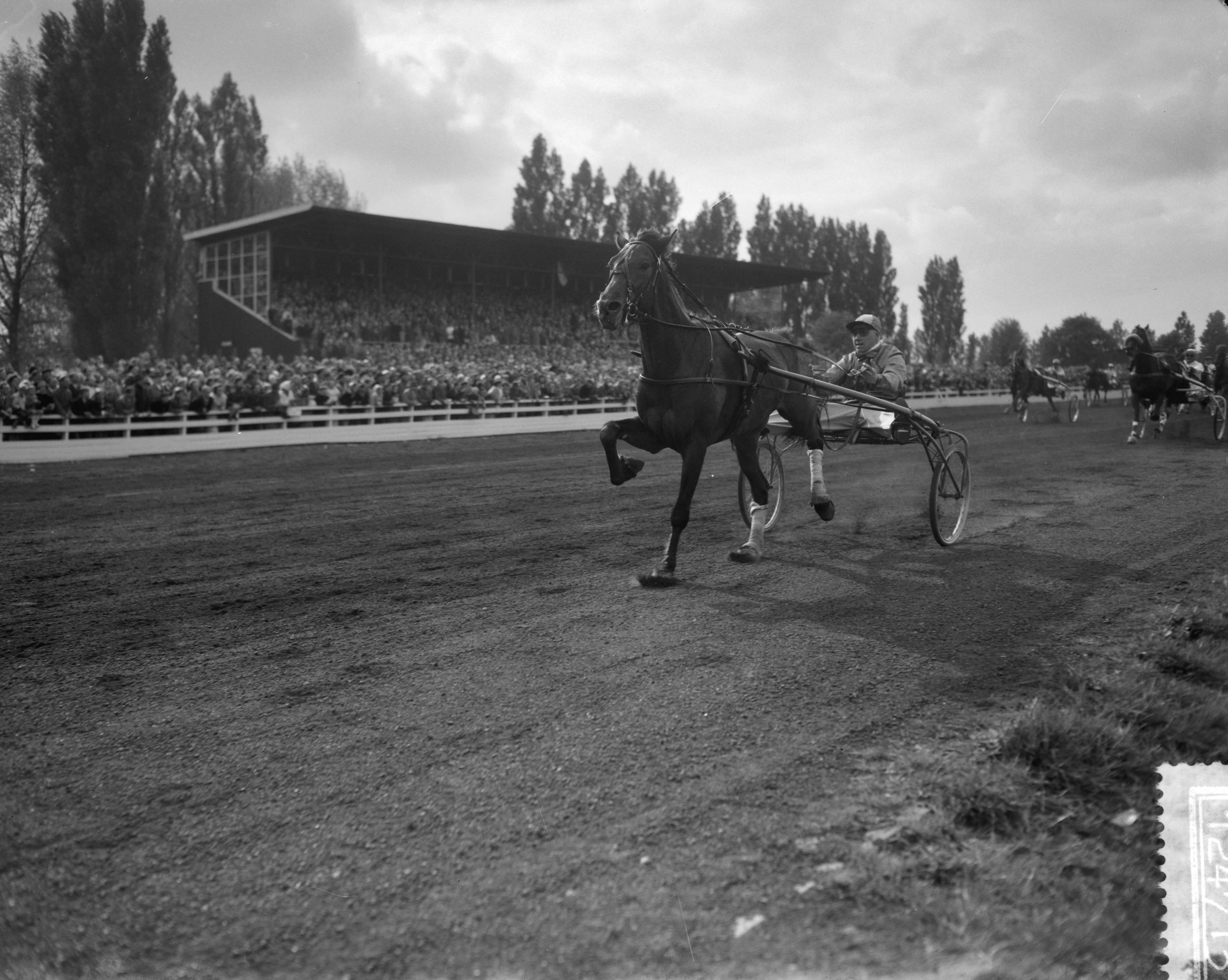 Fotocollectie Anefo — Draverijen op Sportpark Mereveld te Utrecht — Foto: Bilsen, Joop van / Anefo. Licentie: Set B: Rechtenvrij / Publiek Domein. Bron: Nationaal Archief. http://hdl.handle.net/10648/a9d4c6d0-d0b4-102d-bcf8-003048976d84