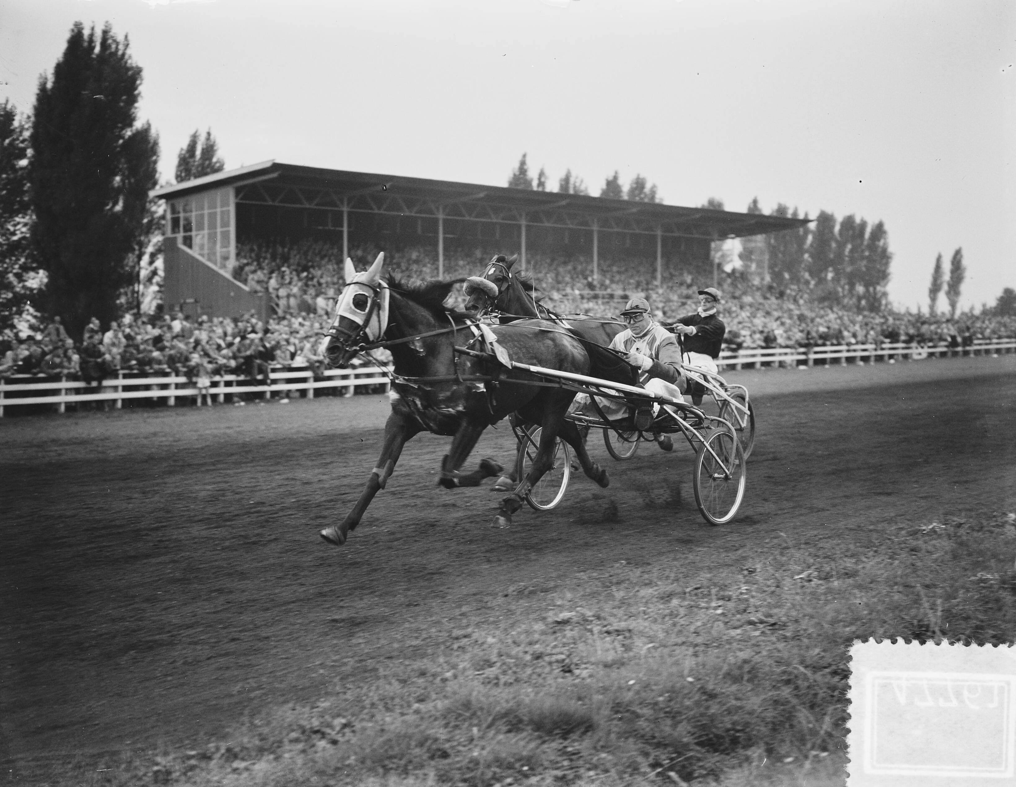 Fotocollectie Anefo — Drafkampioenschappen op Mereveld te Utrecht — Foto: Bilsen, Joop van / Anefo. Licentie: Set B: Rechtenvrij / Publiek Domein. Bron: Nationaal Archief. http://hdl.handle.net/10648/a8efcf76-d0b4-102d-bcf8-003048976d84