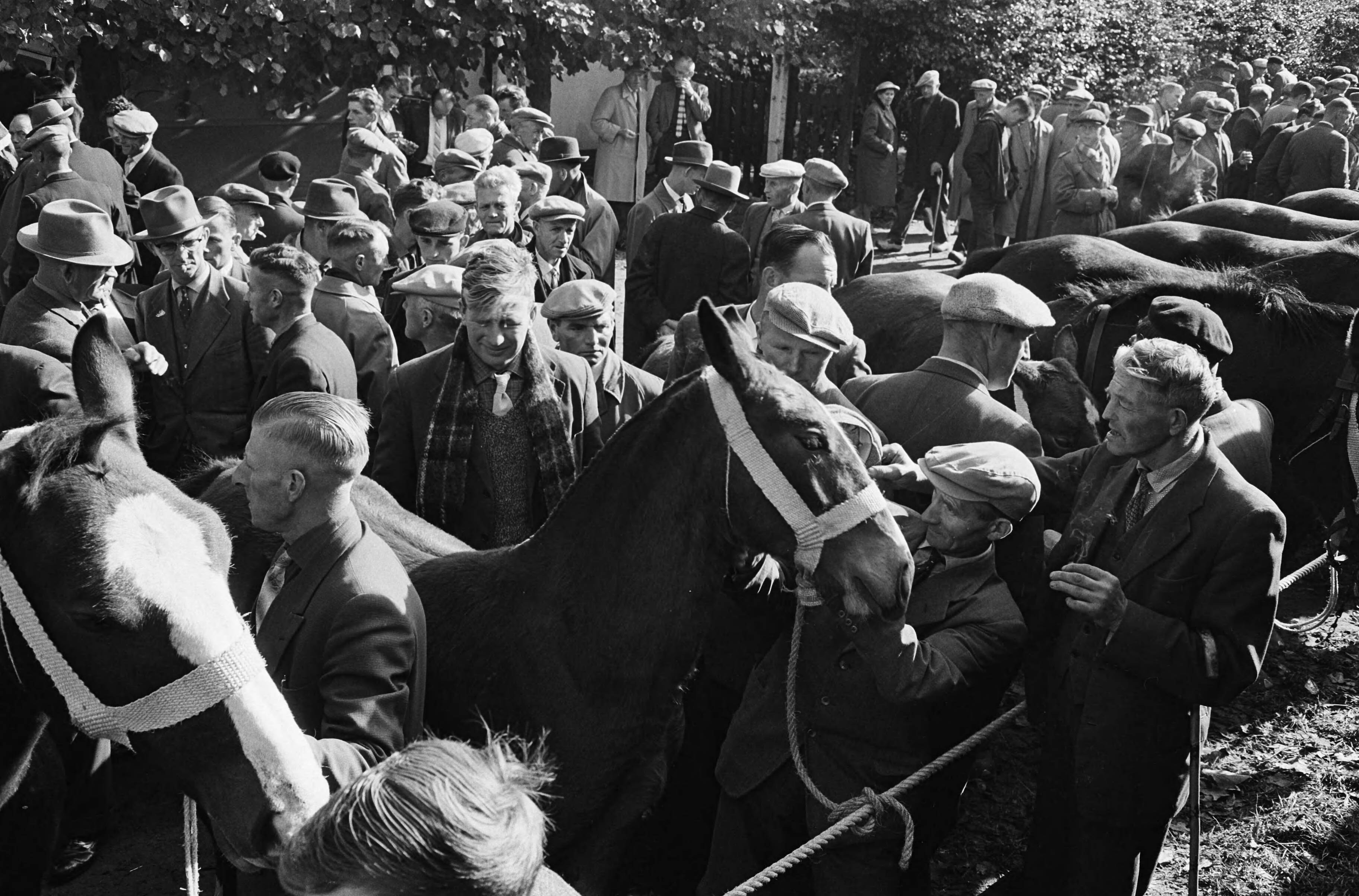 Fotocollectie Anefo — Zuidlaarder Paardenmarkt. Overzicht drukte op de markt — Foto: Walta, Winfried / Anefo. Licentie: Set B: Rechtenvrij / Publiek Domein. Bron: Nationaal Archief. http://hdl.handle.net/10648/aa49c6c4-d0b4-102d-bcf8-003048976d84