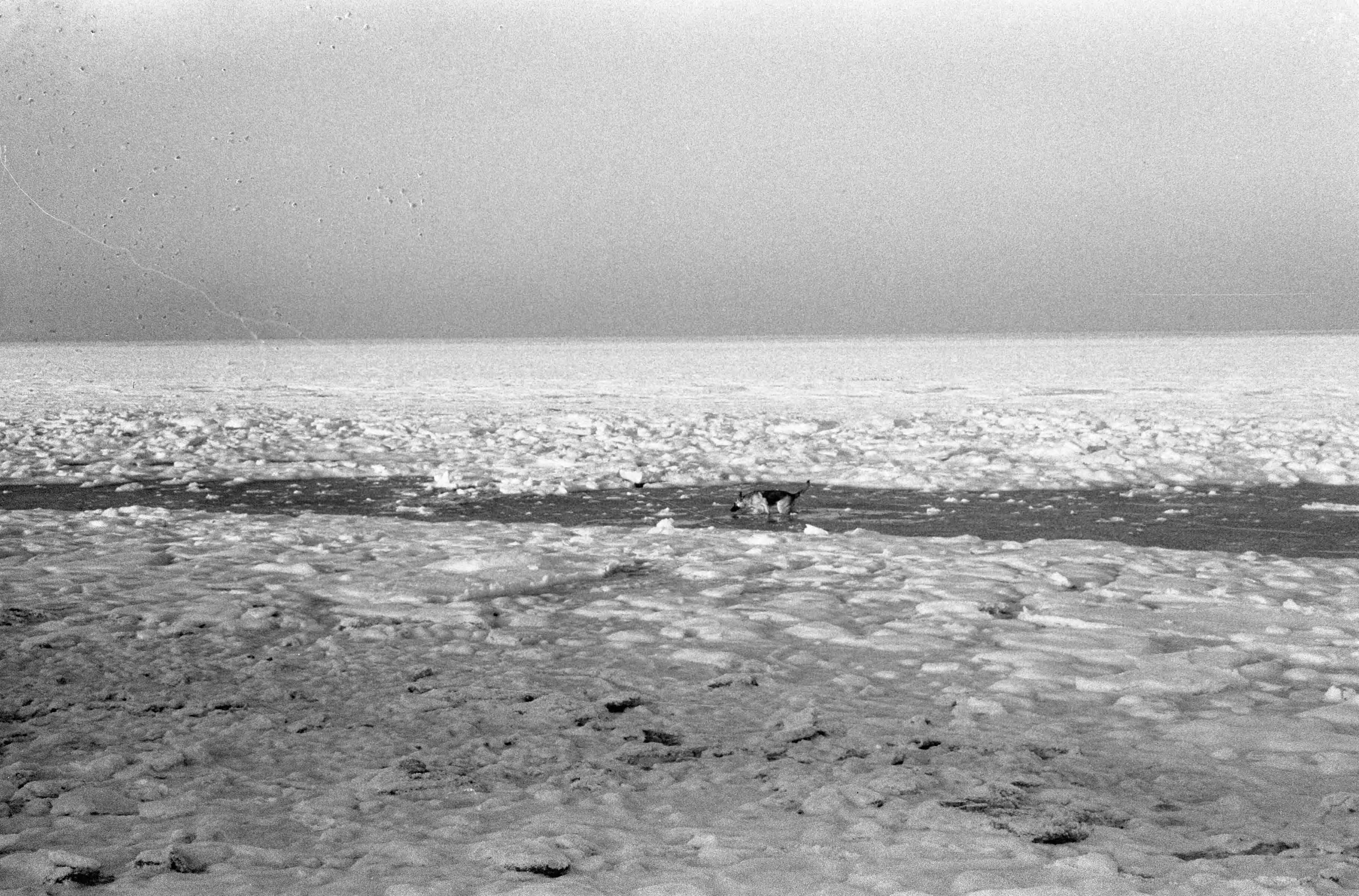 Fotocollectie Anefo — Noordzee voor de kust van Zandvoort dichtgevroren — Foto: Pot, Harry / Anefo. Licentie: Set B: Rechtenvrij / Publiek Domein. Bron: Nationaal Archief. http://hdl.handle.net/10648/aa273802-d0b4-102d-bcf8-003048976d84
