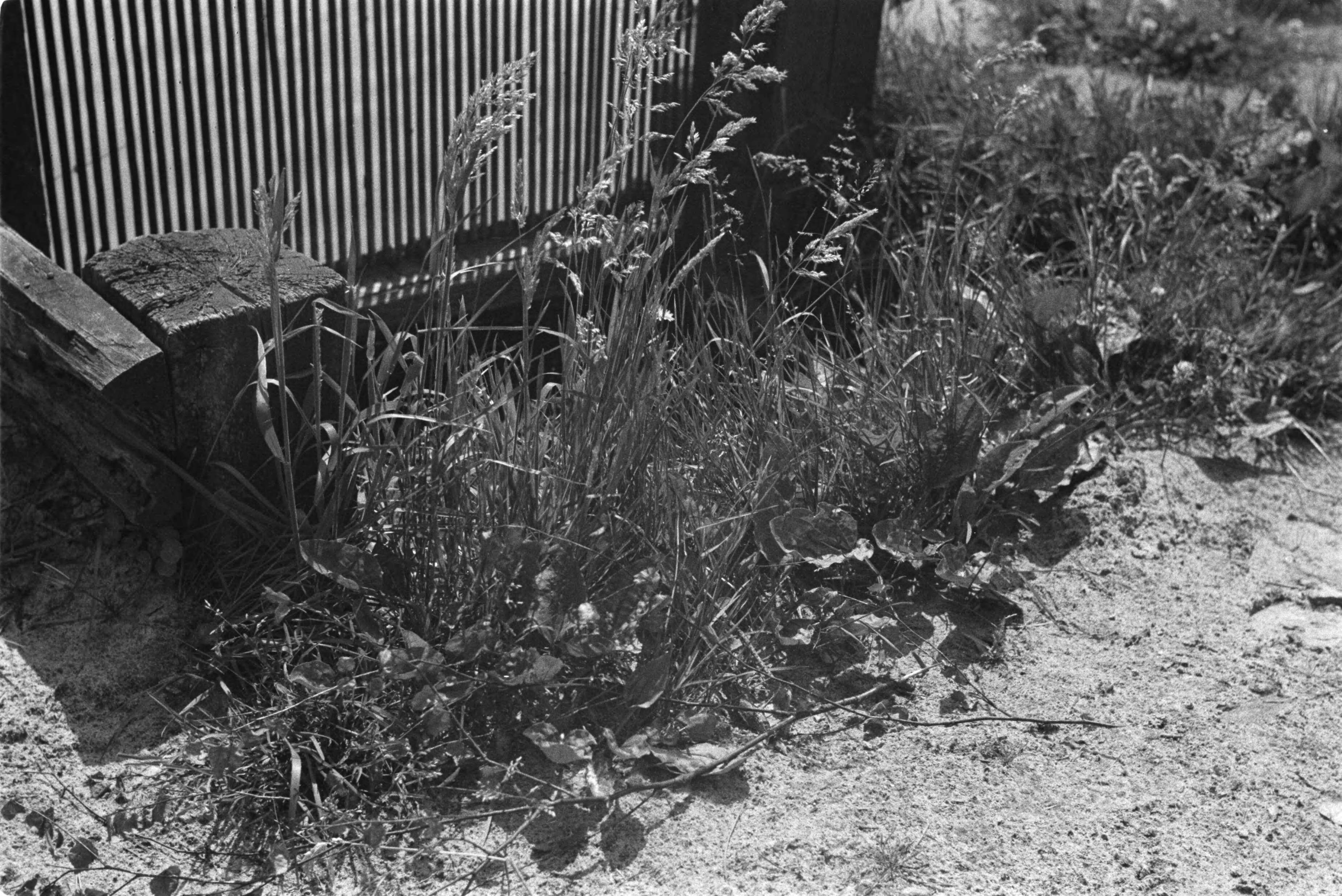 Fotocollectie Nederlandse Heidemaatschappij — Gulpen|visserij |viskwekerijen |roosters |forellenvijvers — Foto: Fotograaf Onbekend / Heidemij. Licentie: Set B: Rechtenvrij / Publiek Domein. Bron: Nationaal Archief. http://hdl.handle.net/10648/ae89dd6e-d0b4-102d-bcf8-003048976d84