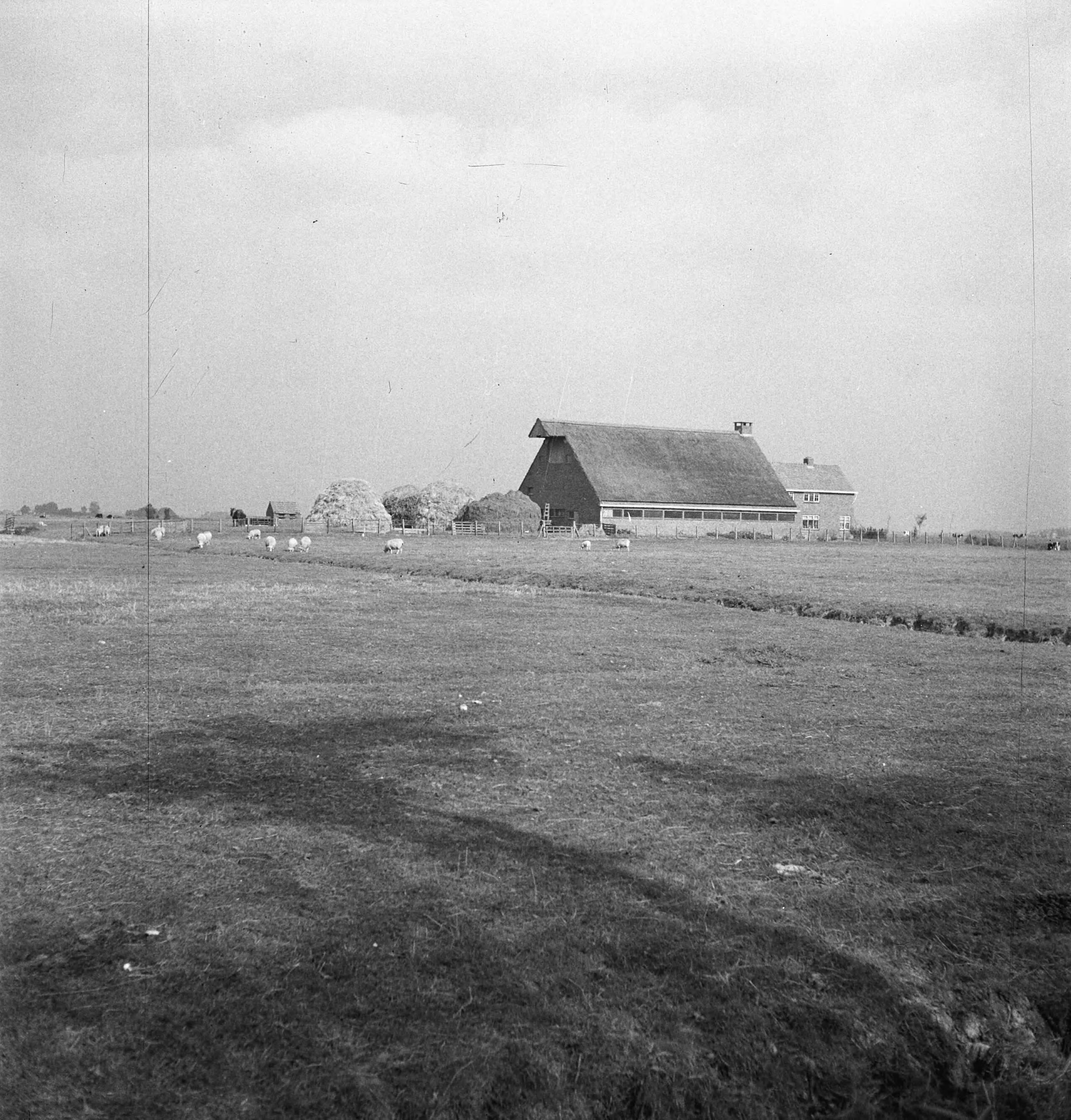 Fotocollectie Nederlandse Heidemaatschappij — Bepl. boerderij te Onderdendam — Foto: Tromp, [...] / Heidemij. Licentie: Set B: Rechtenvrij / Publiek Domein. Bron: Nationaal Archief. http://hdl.handle.net/10648/ae7d153e-d0b4-102d-bcf8-003048976d84