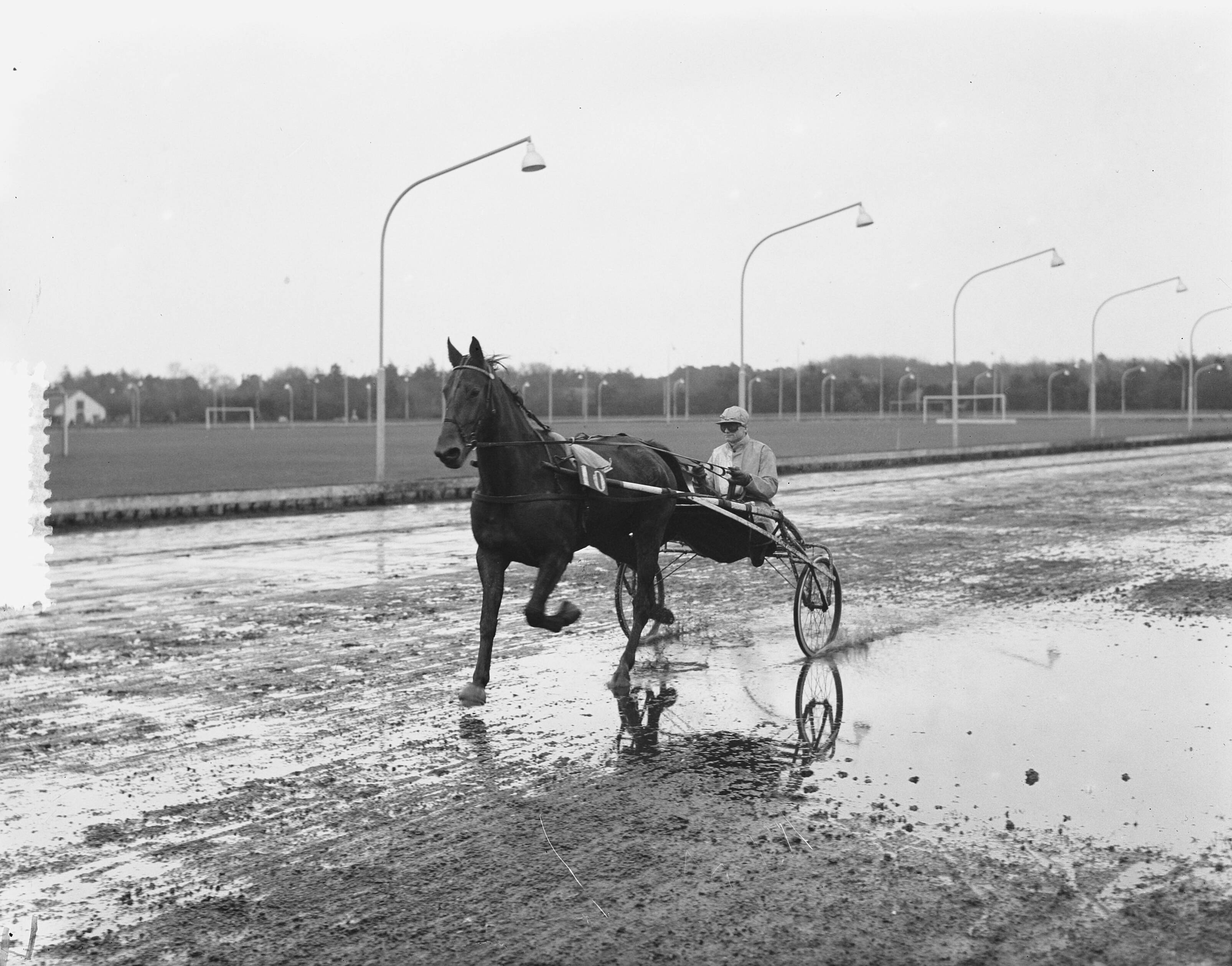 Fotocollectie Anefo — Draverijen Hilversum — Foto: Duinen, H. van / Anefo. Licentie: Set B: Rechtenvrij / Publiek Domein. Bron: Nationaal Archief. http://hdl.handle.net/10648/a91b0394-d0b4-102d-bcf8-003048976d84