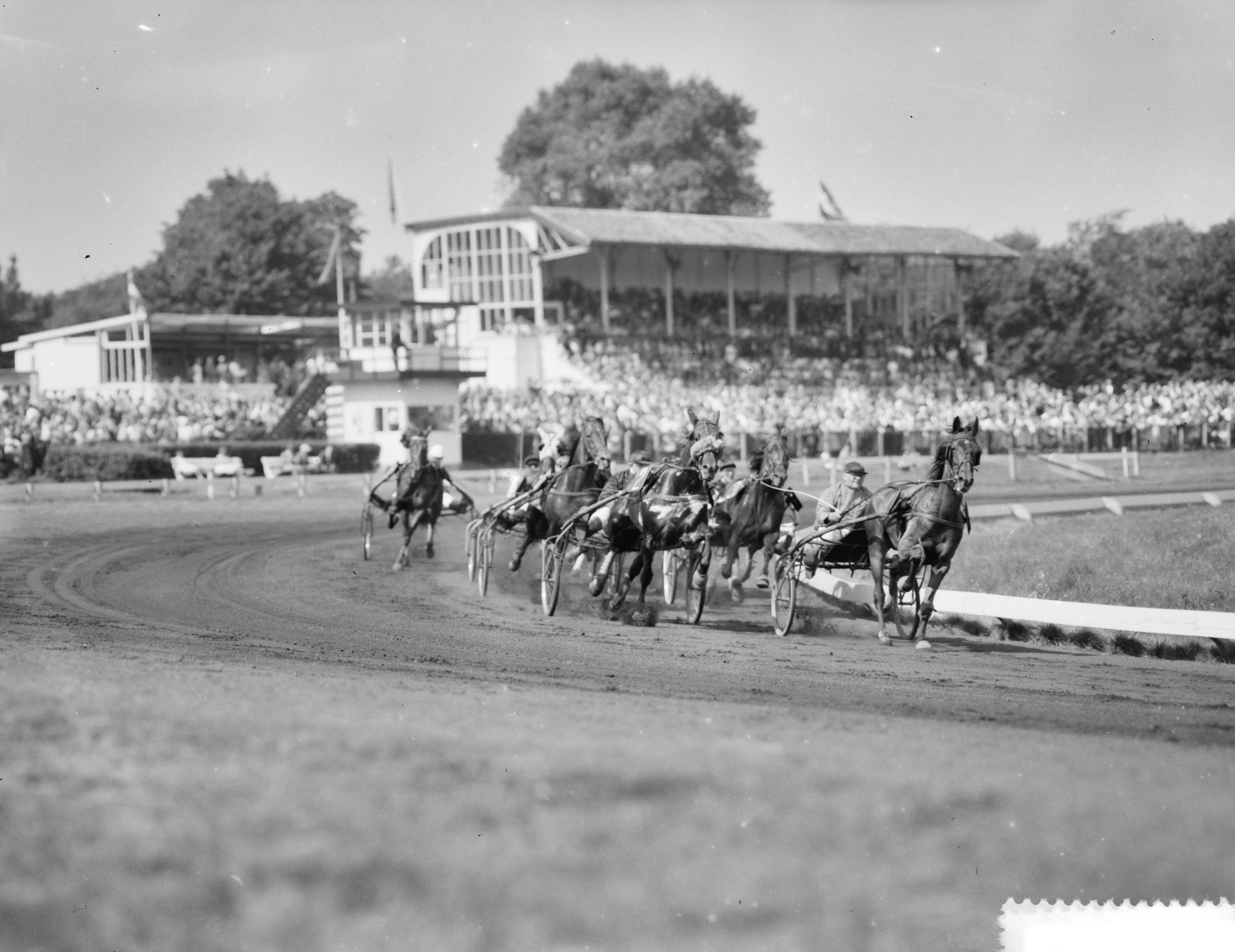 Fotocollectie Anefo — Draverij om de Pelikaanprijs op Duindigt — Foto: Rossem, Wim van / Anefo. Licentie: Set B: Rechtenvrij / Publiek Domein. Bron: Nationaal Archief. http://hdl.handle.net/10648/a999ba2c-d0b4-102d-bcf8-003048976d84