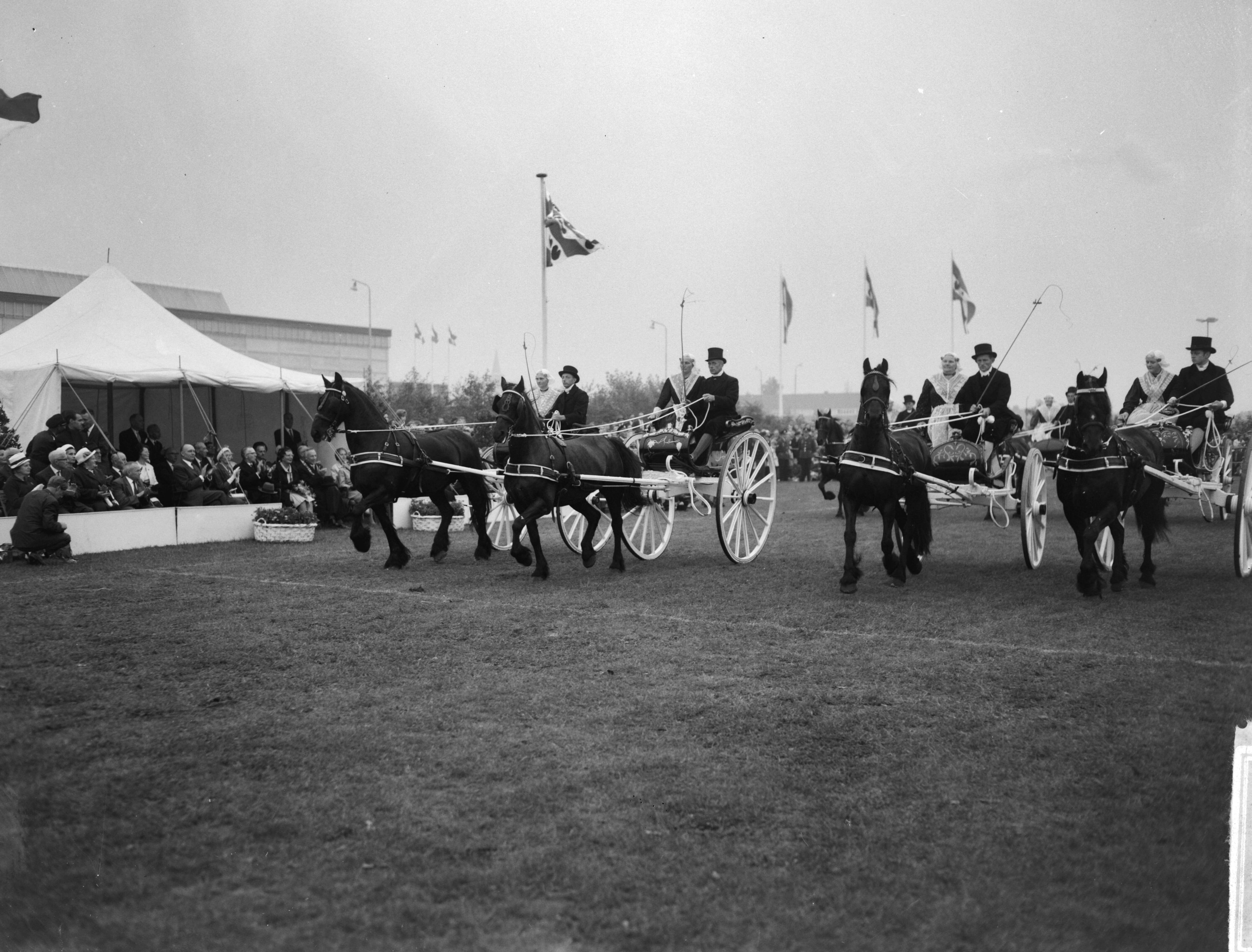 Fotocollectie Anefo — Koningin Juliana bracht een bezoek aan de tentoonstelling "Frisiana" te Leeuwarden. De koningin bracht bezoek aan veld naast de Friesland-Hal waar een demonstratie met Friese sjeezen werd gegeven — Foto: Bilsen, Joop van / Anefo. Licentie: Set B: Rechtenvrij / Publiek Domein. Bron: Nationaal Archief. http://hdl.handle.net/10648/aa45e464-d0b4-102d-bcf8-003048976d84