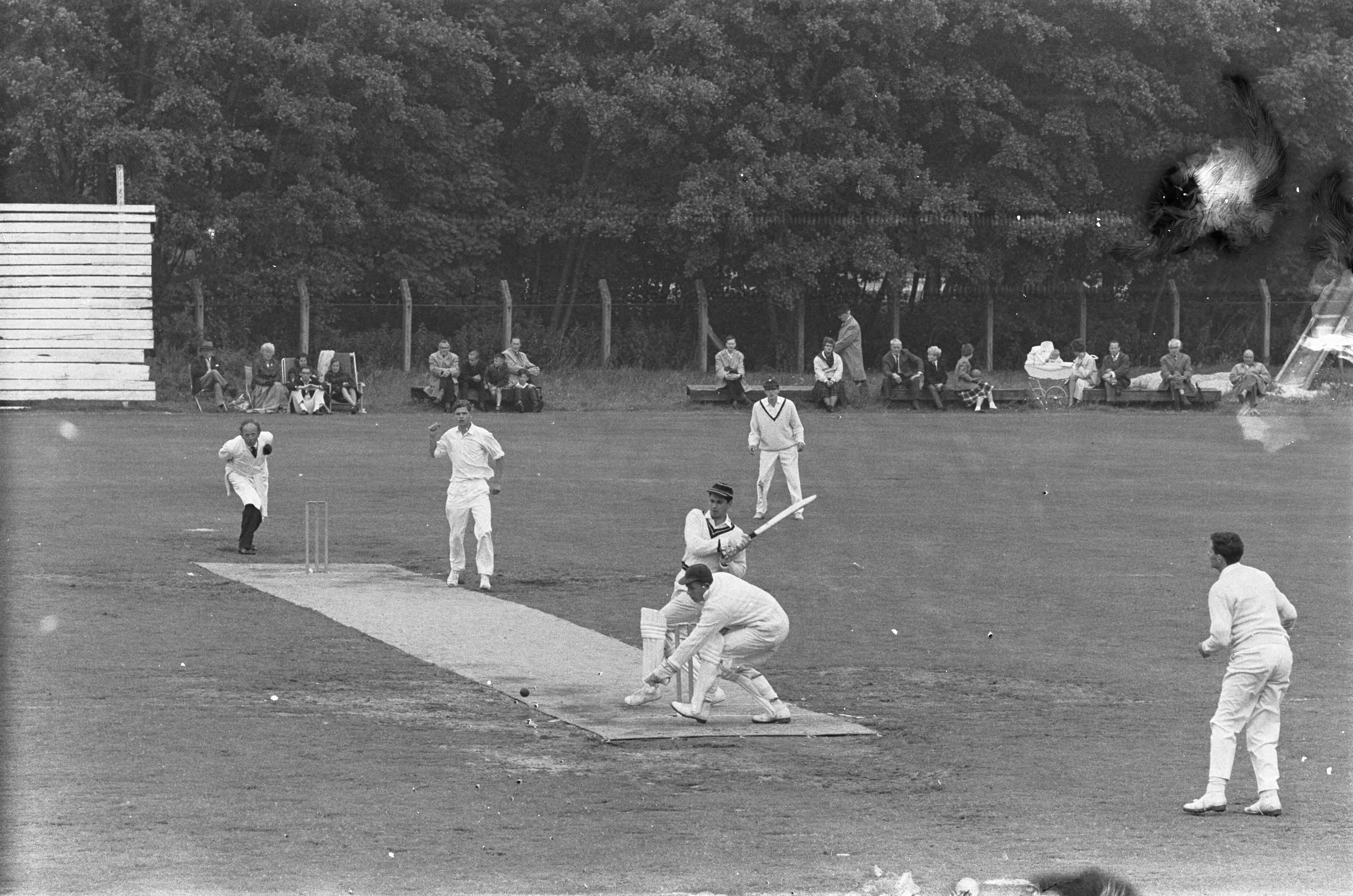 Fotocollectie Anefo — Cricket. Rood en Wit tegen HBS te Haarlem. Batsman Ruud Onstein van Rood en Wit weet bal te slaan — Foto: Pot, Harry / Anefo. Licentie: Set B: Rechtenvrij / Publiek Domein. Bron: Nationaal Archief. http://hdl.handle.net/10648/aa3e0cee-d0b4-102d-bcf8-003048976d84