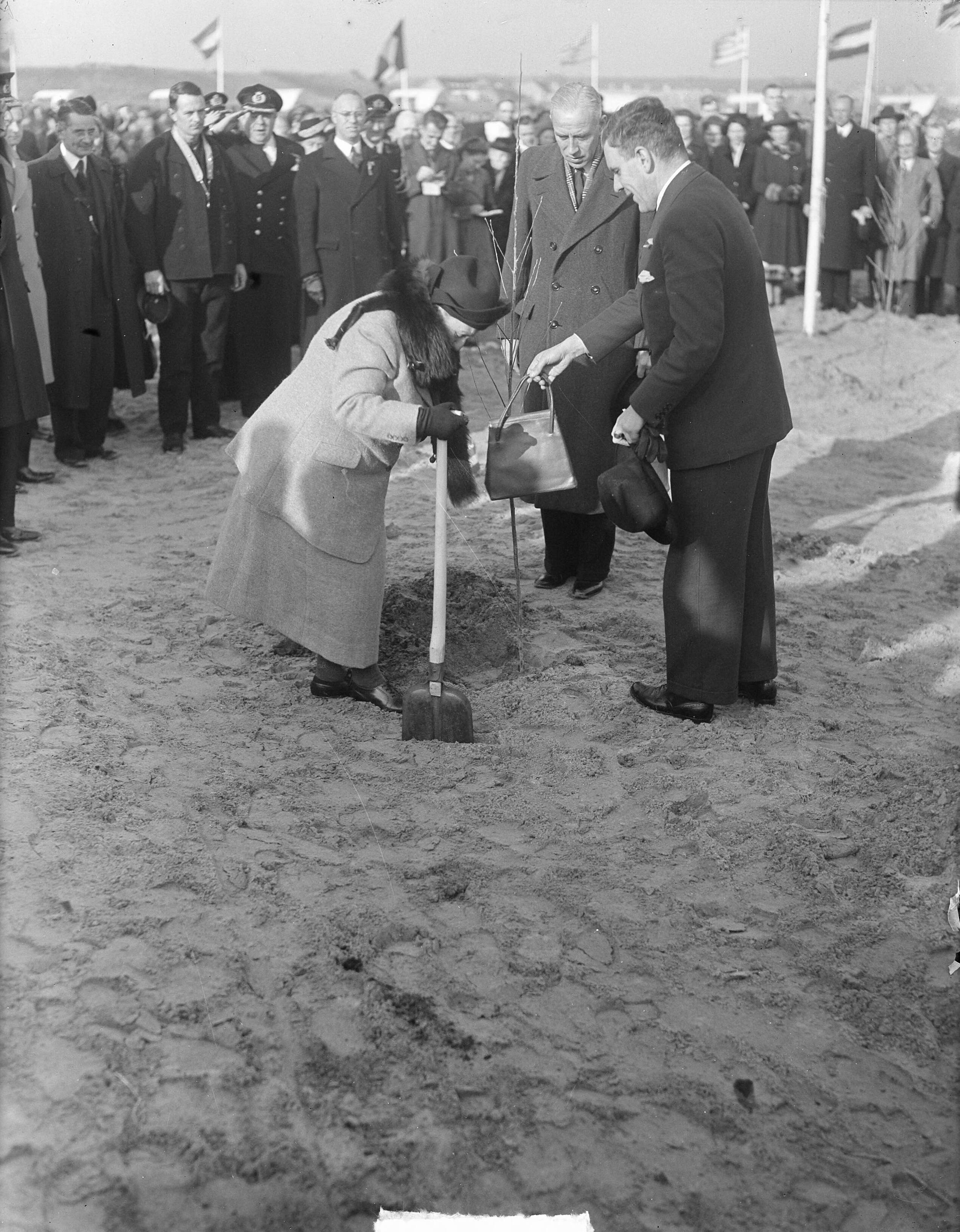 Fotocollectie Anefo — Boomplantdag te Westkapelle — Foto: Noske, J.D. / Anefo. Licentie: Set B: Rechtenvrij / Publiek Domein. Bron: Nationaal Archief. http://hdl.handle.net/10648/a8c033ba-d0b4-102d-bcf8-003048976d84