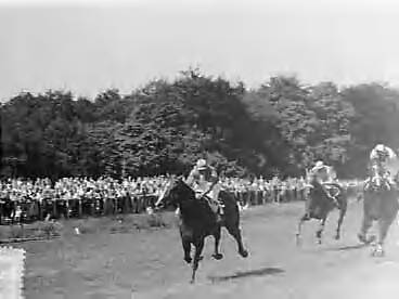 Fotocollectie Anefo — Renbaan Duindigt. De Derby 1957 — Foto: Bilsen, Joop van / Anefo. Licentie: Set B: Rechtenvrij / Publiek Domein. Bron: Nationaal Archief. http://hdl.handle.net/10648/a96241e6-d0b4-102d-bcf8-003048976d84