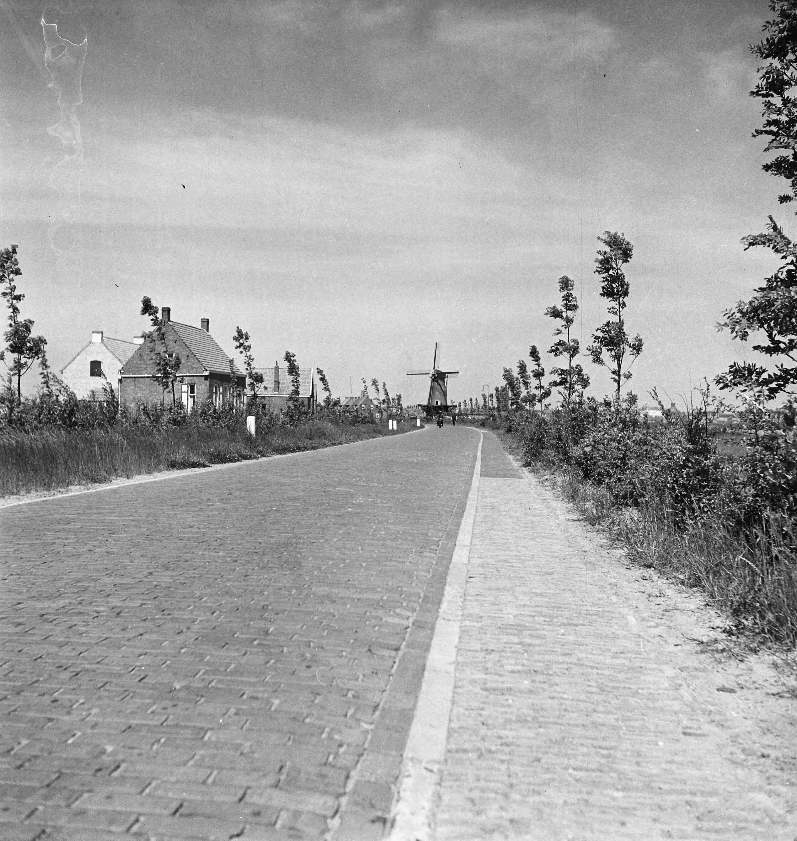 Fotocollectie Nederlandse Heidemaatschappij — [geen bijschrift. Wellicht herbeplanting landgoed "ter Hooge" in het 2e jaar van de aanleg — Foto: Tromp, [...] / Heidemij. Licentie: Set B: Rechtenvrij / Publiek Domein. Bron: Nationaal Archief. http://hdl.handle.net/10648/ae8003ca-d0b4-102d-bcf8-003048976d84