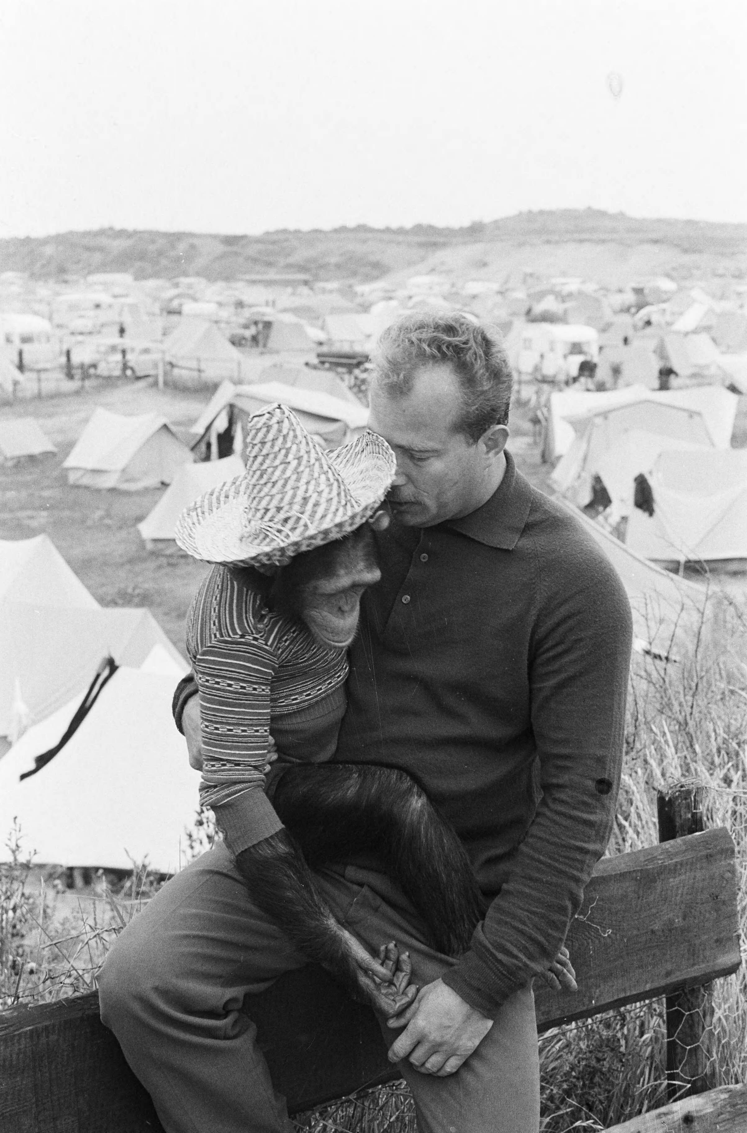 Fotocollectie Anefo — Op Camping Sandevoerde (Zandvoort) logeert een vreemde gast, de chimpansee Suzy — Foto: Pot, Harry / Anefo. Licentie: Set B: Rechtenvrij / Publiek Domein. Bron: Nationaal Archief. http://hdl.handle.net/10648/aa124aaa-d0b4-102d-bcf8-003048976d84