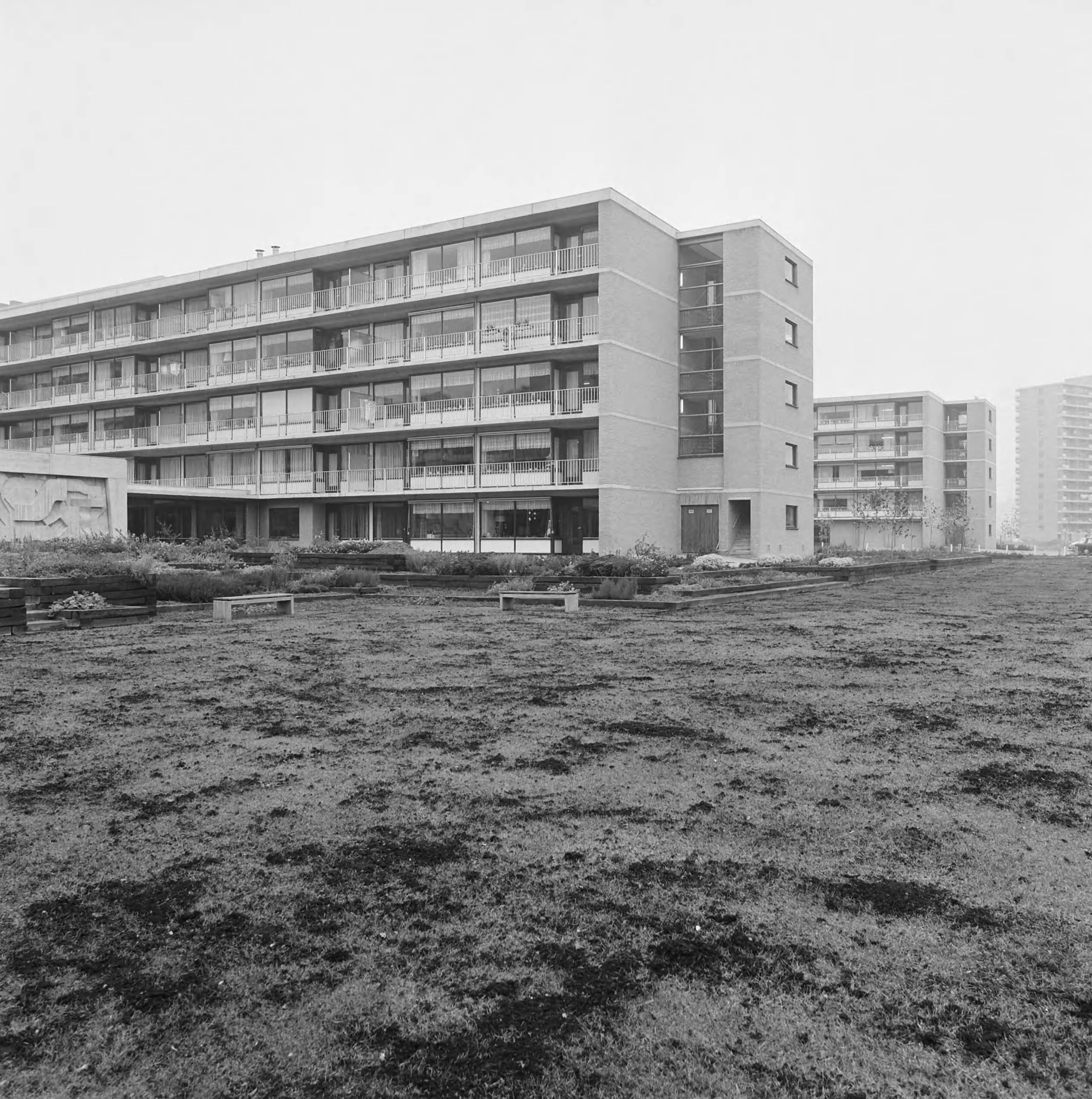 Fotocollectie Nederlandse Heidemaatschappij — Zoetermeer. Beplanting in nieuwe woonwijk (geen Heidemij object) — Foto: Fotograaf Onbekend / Heidemij. Licentie: Set B: Rechtenvrij / Publiek Domein. Bron: Nationaal Archief. http://hdl.handle.net/10648/ae82b85e-d0b4-102d-bcf8-003048976d84