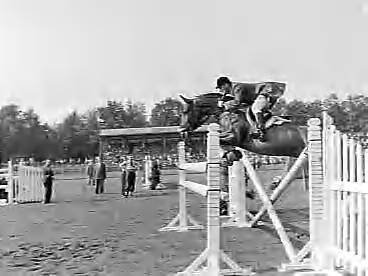 Fotocollectie Anefo — Concours hippique in Groningen — Foto: Bilsen, Joop van / Anefo. Licentie: Set B: Rechtenvrij / Publiek Domein. Bron: Nationaal Archief. http://hdl.handle.net/10648/a9834bfc-d0b4-102d-bcf8-003048976d84