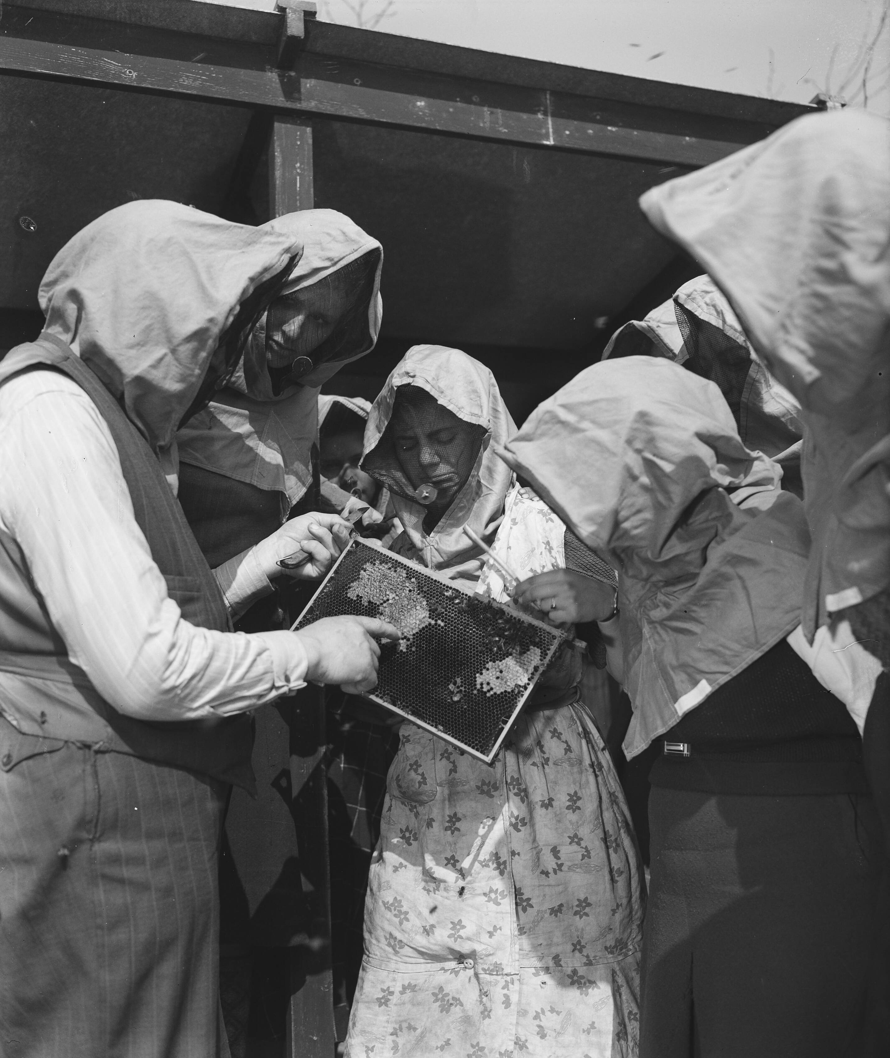 Fotocollectie Anefo — Tuinbouwschool "Huize te Lande" te Rijswijk. Een bijenstand behoort ook tot het terrein. De bijen zijn zeer belangrijk omdat zij voor de bevruchting van diverse gewassen moeten zorgen. Als de korven opengaan, is er altijd grote belangstelling van de meisjes, die even proeven mogen — Foto: Raucamp, Koos / Anefo. Licentie: Set B: Rechtenvrij / Publiek Domein. Bron: Nationaal Archief. http://hdl.handle.net/10648/a89b4e9c-d0b4-102d-bcf8-003048976d84