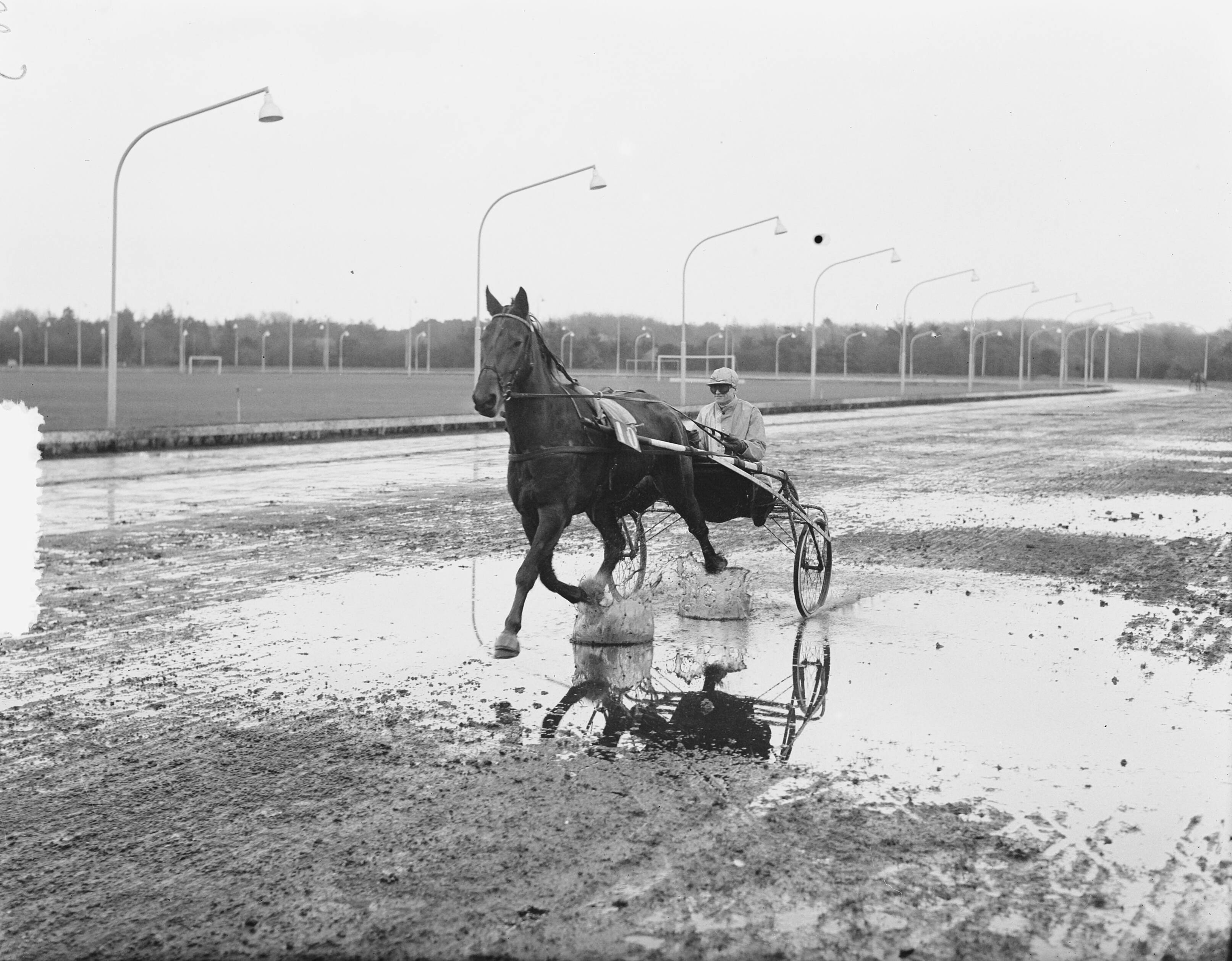 Fotocollectie Anefo — Draverijen Hilversum — Foto: Duinen, H. van / Anefo. Licentie: Set B: Rechtenvrij / Publiek Domein. Bron: Nationaal Archief. http://hdl.handle.net/10648/a91b051a-d0b4-102d-bcf8-003048976d84