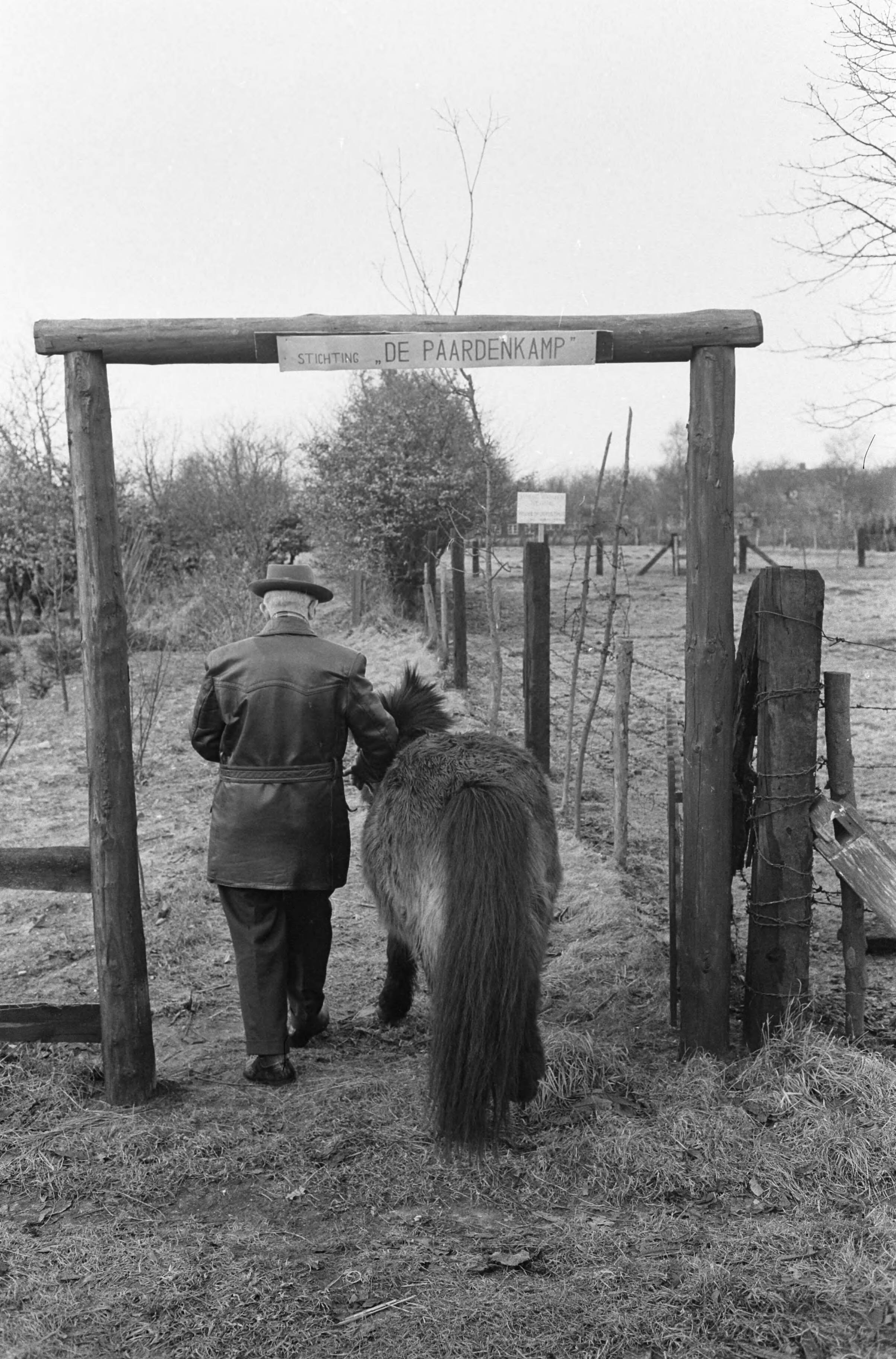 Fotocollectie Anefo — Rusthuis voor paarden, de "Paardenkamp" te Soest. De eerste bewoner is een 16-jarige Shetland-pony, waarvan de baas ziek is — Foto: Pot, Harry / Anefo. Licentie: Set B: Rechtenvrij / Publiek Domein. Bron: Nationaal Archief. http://hdl.handle.net/10648/a9f8277e-d0b4-102d-bcf8-003048976d84