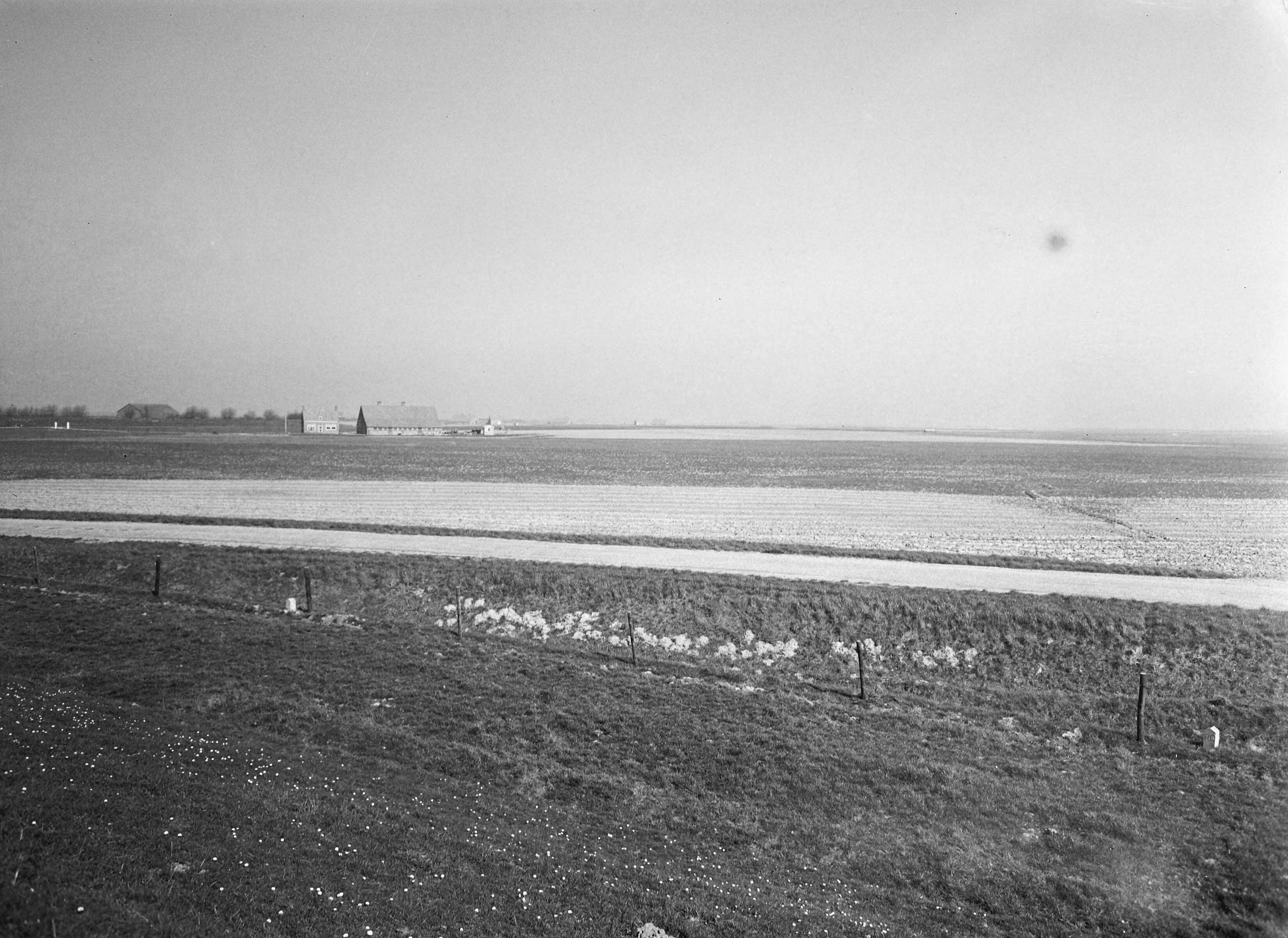 Fotocollectie Nederlandse Heidemaatschappij — Ontgonnen gedeelte in de Braakman met nieuwe boerderij — Foto: Eyssen, [...] / Heidemij. Licentie: Set B: Rechtenvrij / Publiek Domein. Bron: Nationaal Archief. http://hdl.handle.net/10648/ae5ccb94-d0b4-102d-bcf8-003048976d84