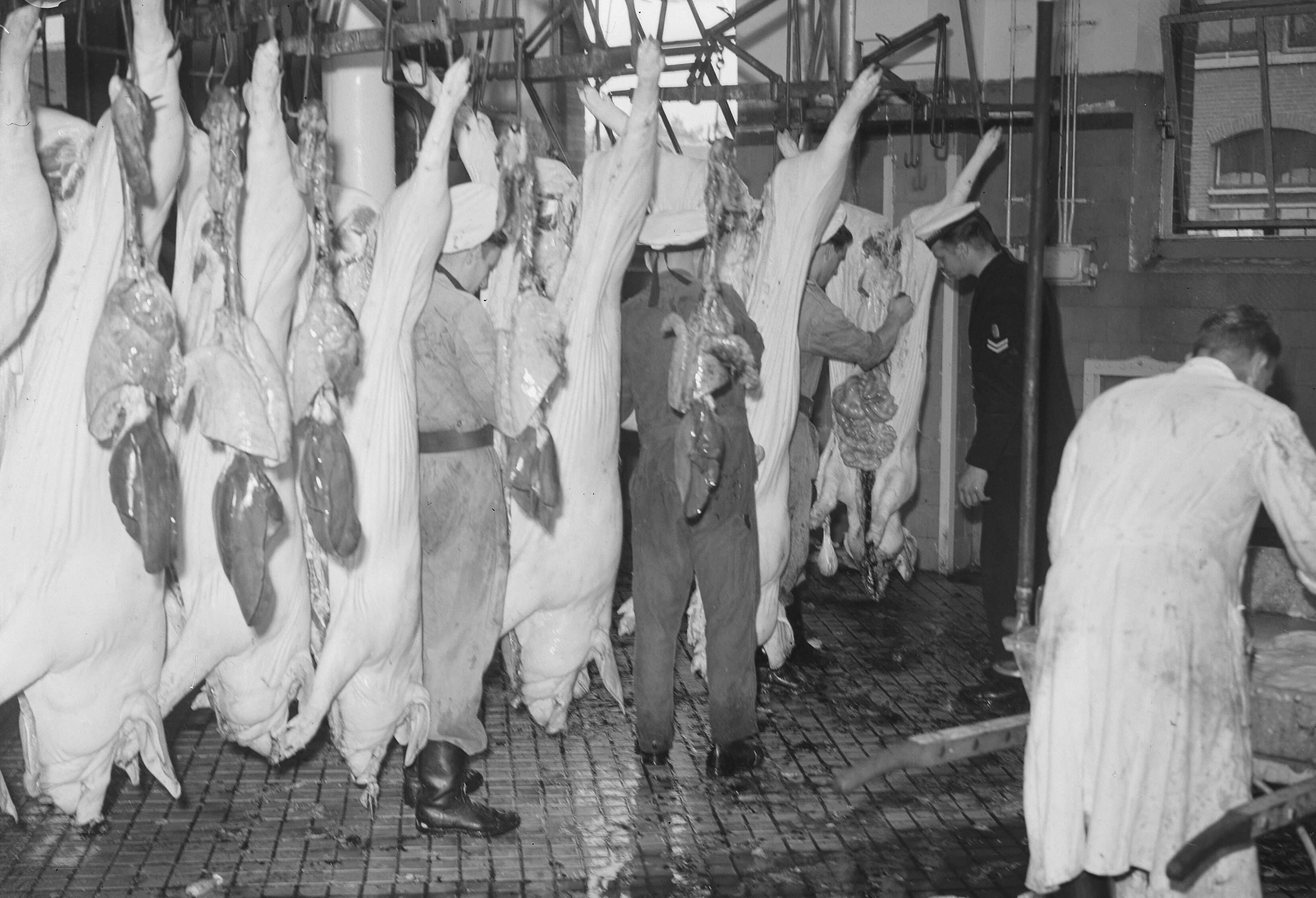 Fotocollectie Anefo — Commissie MOC Hilversum Le Grand op abattoir Utrecht — Foto: Oorschot, […] van / Anefo. Licentie: Set B: Rechtenvrij / Publiek Domein. Bron: Nationaal Archief. http://hdl.handle.net/10648/a8ce18d6-d0b4-102d-bcf8-003048976d84