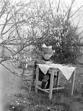 Fotocollectie Anefo — Bloeiende magnolias met meisje bij Vleuten — Foto: Rossem, Wim van / Anefo. Licentie: Set B: Rechtenvrij / Publiek Domein. Bron: Nationaal Archief. http://hdl.handle.net/10648/a97a998a-d0b4-102d-bcf8-003048976d84