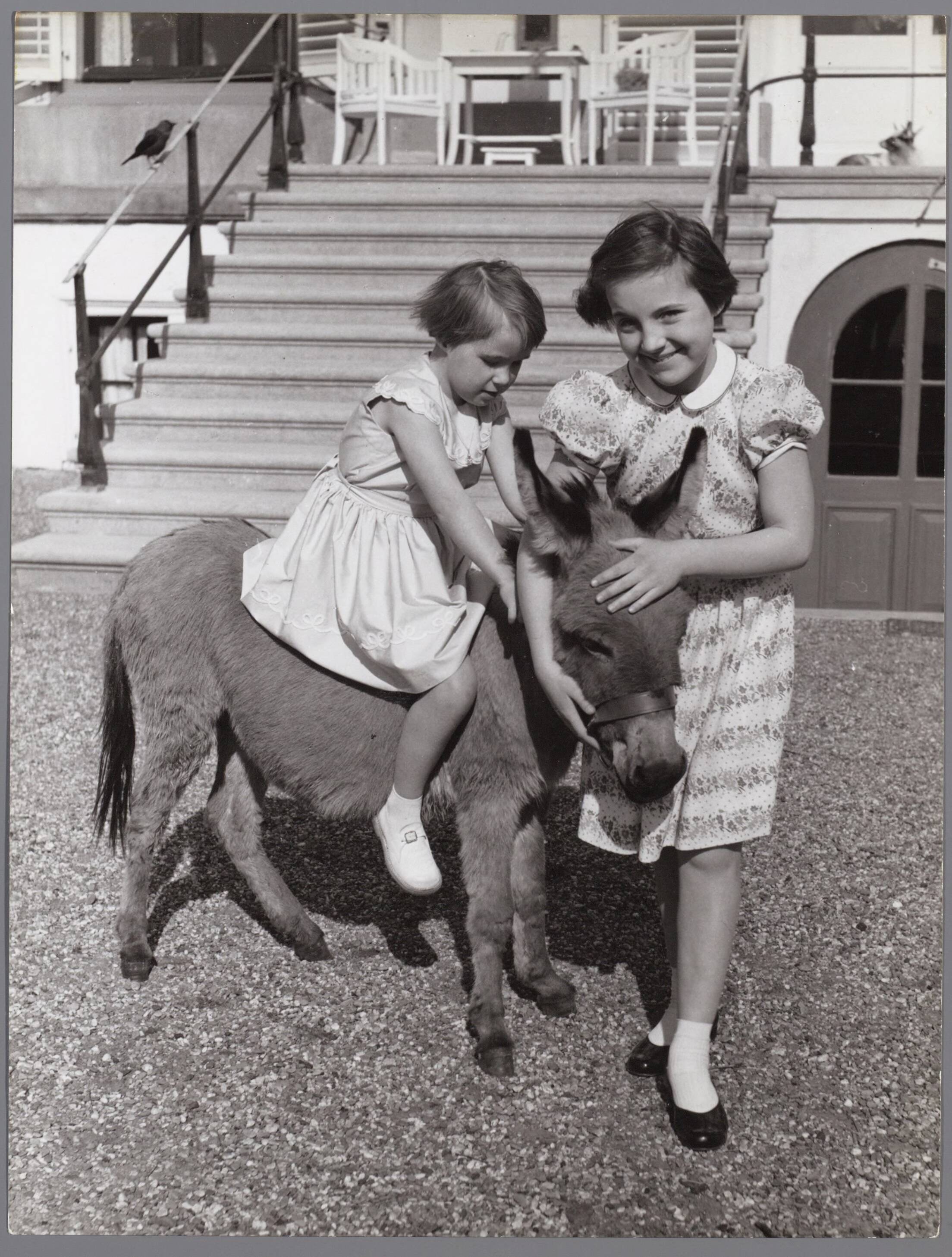 Fotocollectie RVD / Koninklijk Huis — Prinses Margriet en prinses Marijke zittend op een ezel bij Paleis Soestdijk — Foto: Reijken, Tiemen van der / RVD. Licentie: Set B: Rechtenvrij / Publiek Domein. Bron: Nationaal Archief. http://hdl.handle.net/10648/afae5bc0-d0b4-102d-bcf8-003048976d84