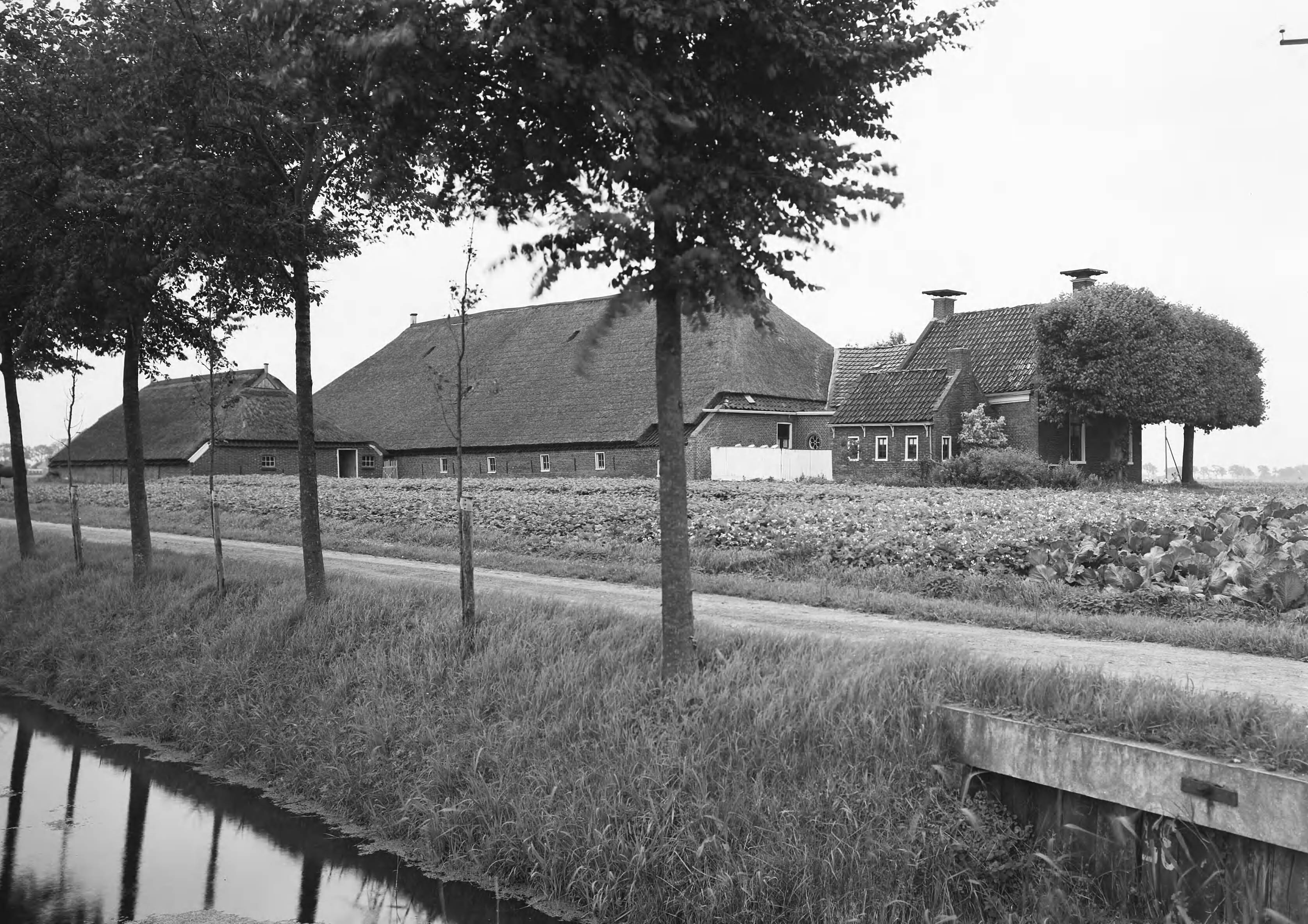 Fotocollectie Nederlandse Heidemaatschappij — Boerderij te Bedum — Foto: Fotograaf Onbekend / Heidemij. Licentie: Set B: Rechtenvrij / Publiek Domein. Bron: Nationaal Archief. http://hdl.handle.net/10648/ae443232-d0b4-102d-bcf8-003048976d84