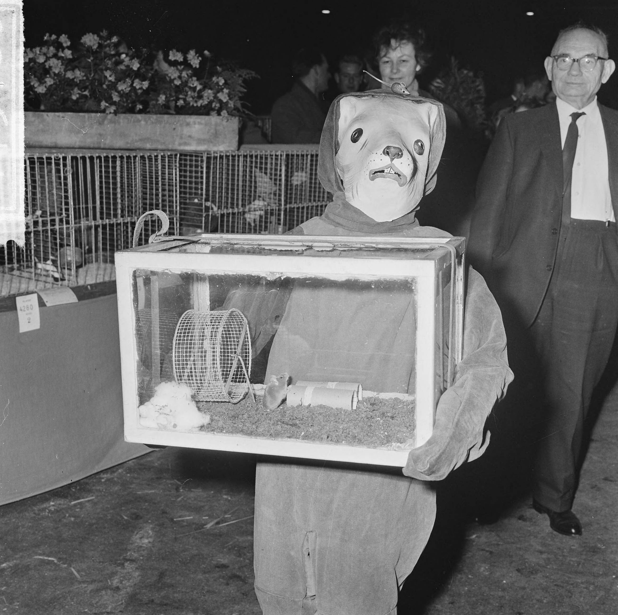 Fotocollectie Anefo — Vogeltentoonstelling Avicultura in de Houtrusthallen te Den Haag, deze jongen [verkleed als hond?] kwam zijn muis laten zien — Foto: Koch, Eric / Anefo. Licentie: Set B: Rechtenvrij / Publiek Domein. Bron: Nationaal Archief. http://hdl.handle.net/10648/aa8cd5e0-d0b4-102d-bcf8-003048976d84