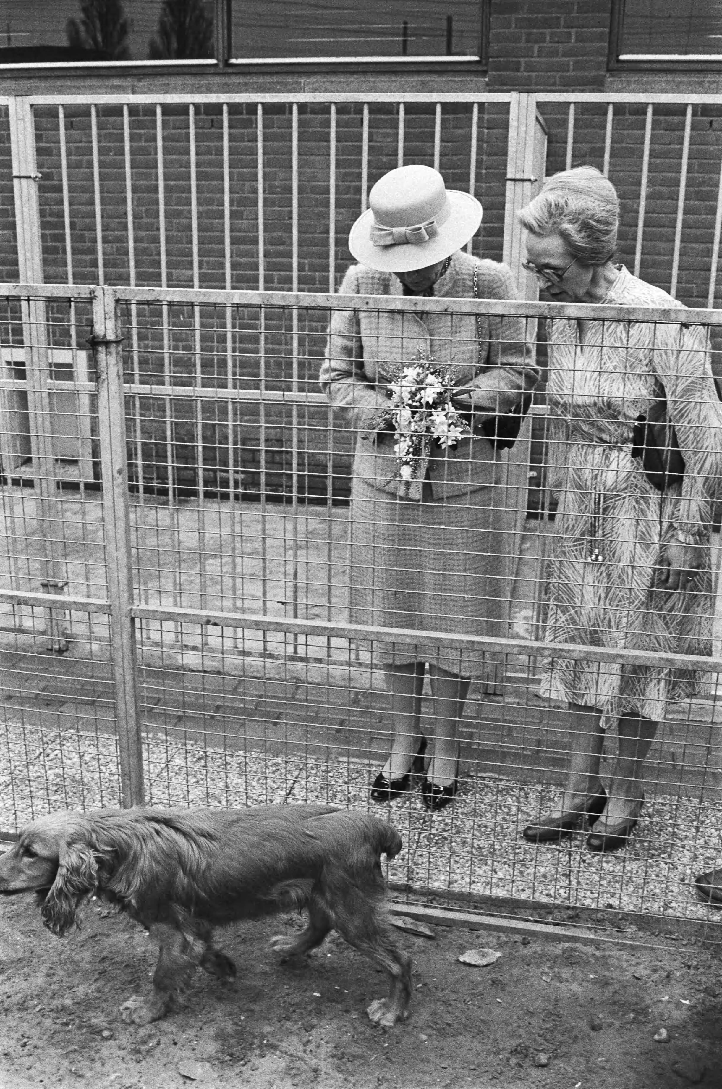 Fotocollectie Anefo — Beatrix opent het Haagse Dierencentrum in Den Haag . Beatrix tijdens de rondgang door de kennels, (r.) A. C.W. Vervoorn Malinosky Blom — Foto: Antonisse, Marcel / Anefo. Licentie: Set B: Rechtenvrij / Publiek Domein. Bron: Nationaal Archief. http://hdl.handle.net/10648/ad1368ba-d0b4-102d-bcf8-003048976d84