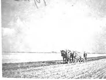 Fotocollectie Anefo — Haarlemmermeerpolder — Foto: Breijer, Charles / Anefo. Licentie: Set B: Rechtenvrij / Publiek Domein. Bron: Nationaal Archief. http://hdl.handle.net/10648/a8960f72-d0b4-102d-bcf8-003048976d84
