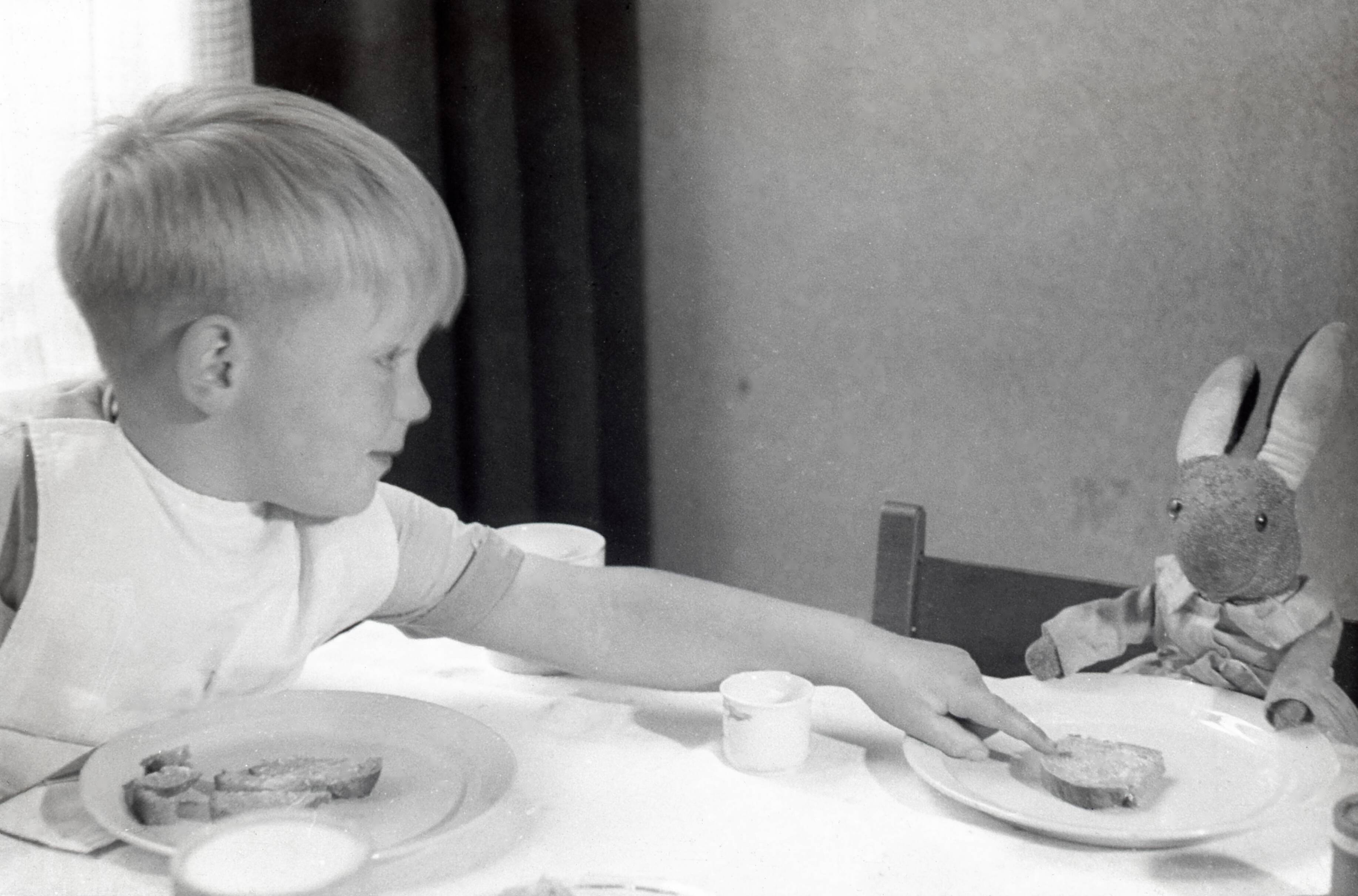 Voedsel — Uit de serie: Speelgoedkonijn loopt weg na stout te zijn geweest. Nummer S.46: konijn wil niet eten. Nederland, [Den Haag], zonder datum [omstreeks 1945-1955]. — Foto: Bouman, Tom / Spaarnestad Photo (05887). Licentie: Set B: Rechtenvrij / Publiek Domein. Bron: Nationaal Archief. http://hdl.handle.net/10648/35429da7-69f1-a382-e063-6df0900a6686